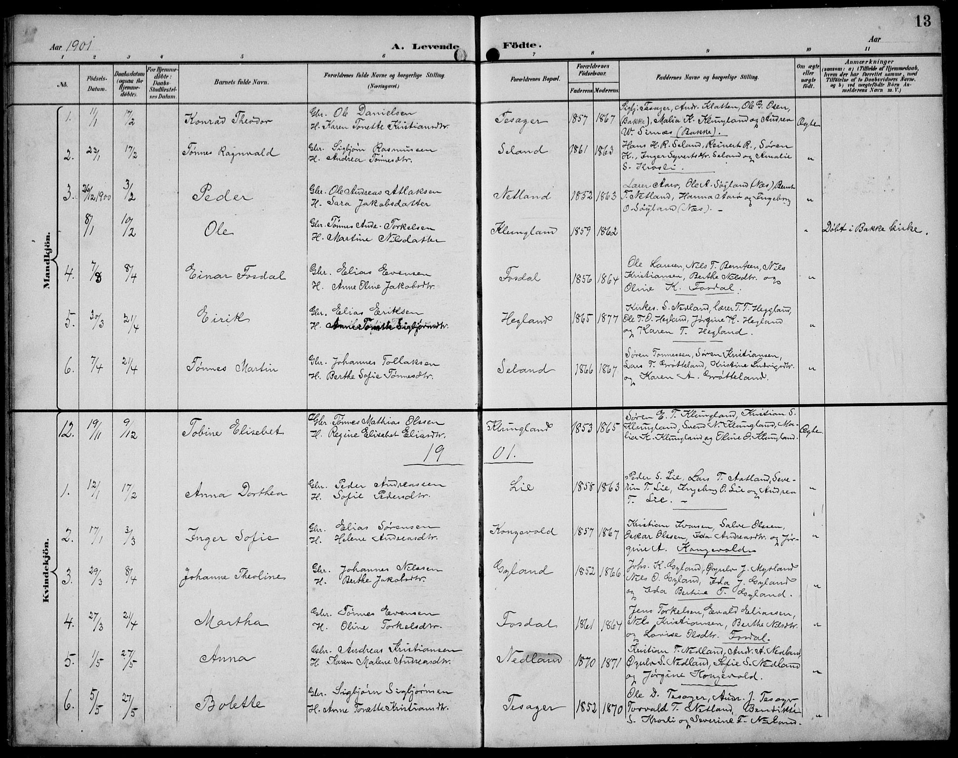 Bakke sokneprestkontor, SAK/1111-0002/F/Fb/Fbb/L0004: Parish register (copy) no. B 4, 1896-1927, p. 13