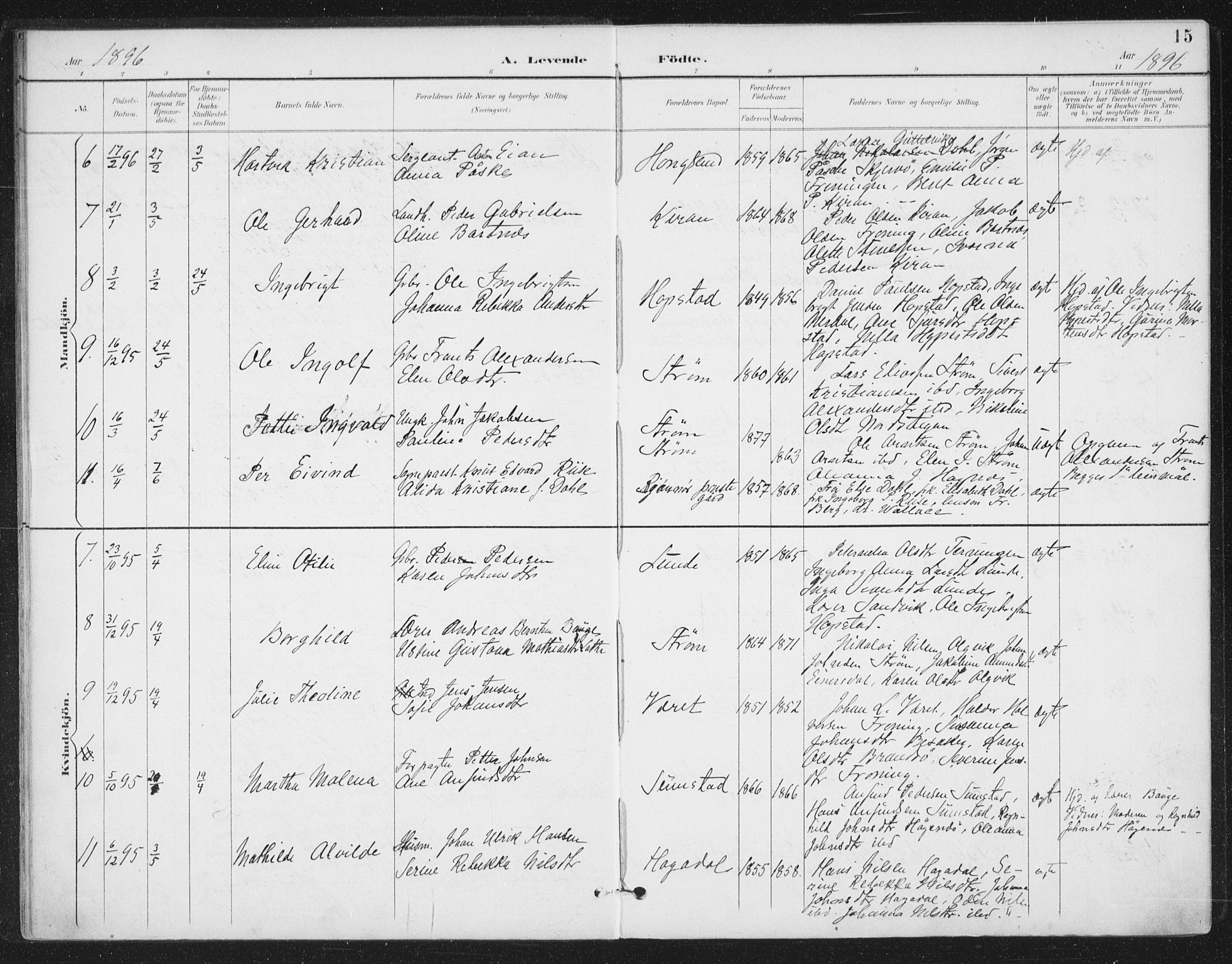 Ministerialprotokoller, klokkerbøker og fødselsregistre - Sør-Trøndelag, SAT/A-1456/657/L0708: Parish register (official) no. 657A09, 1894-1904, p. 15