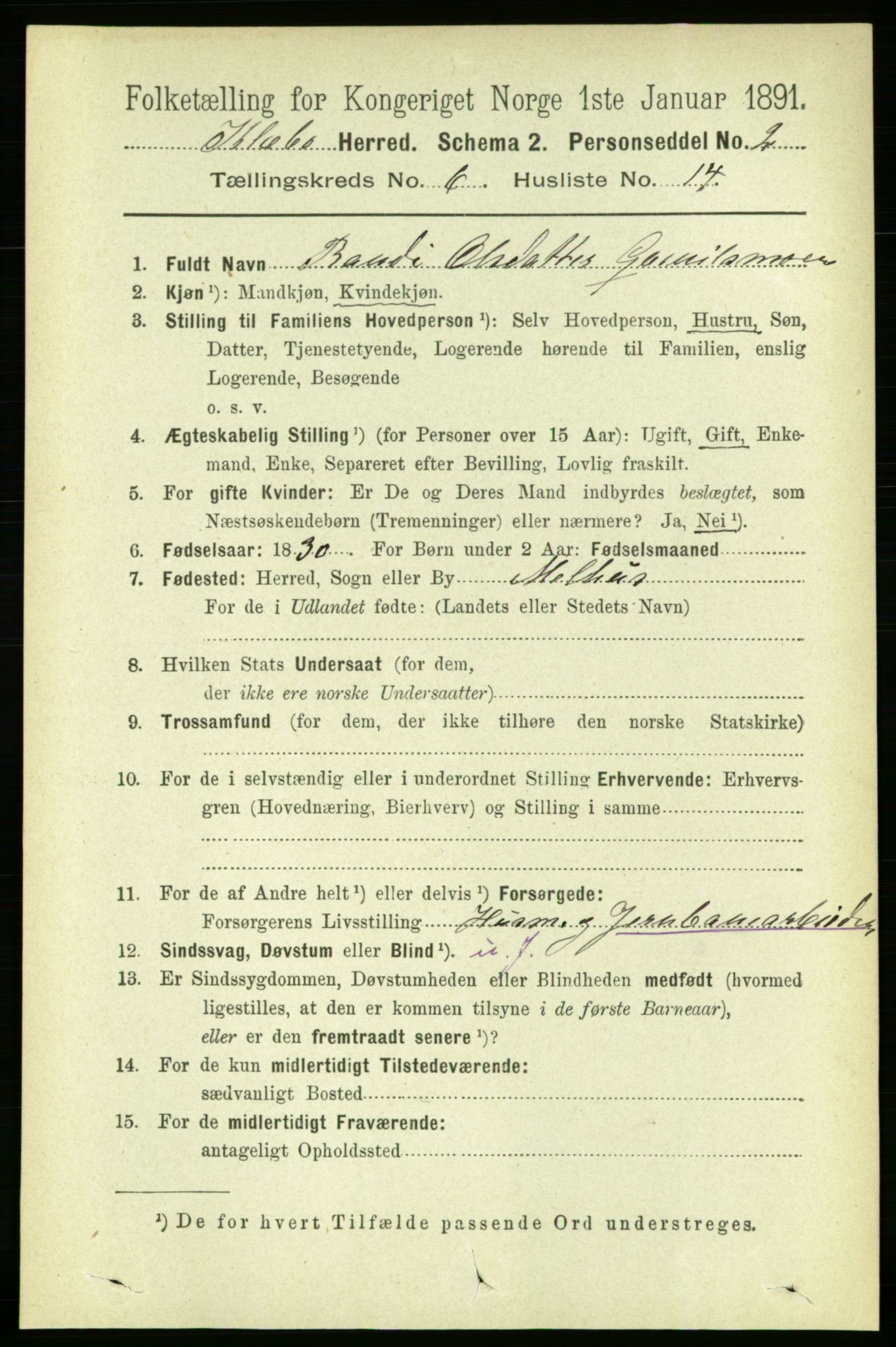 RA, 1891 census for 1662 Klæbu, 1891, p. 1313