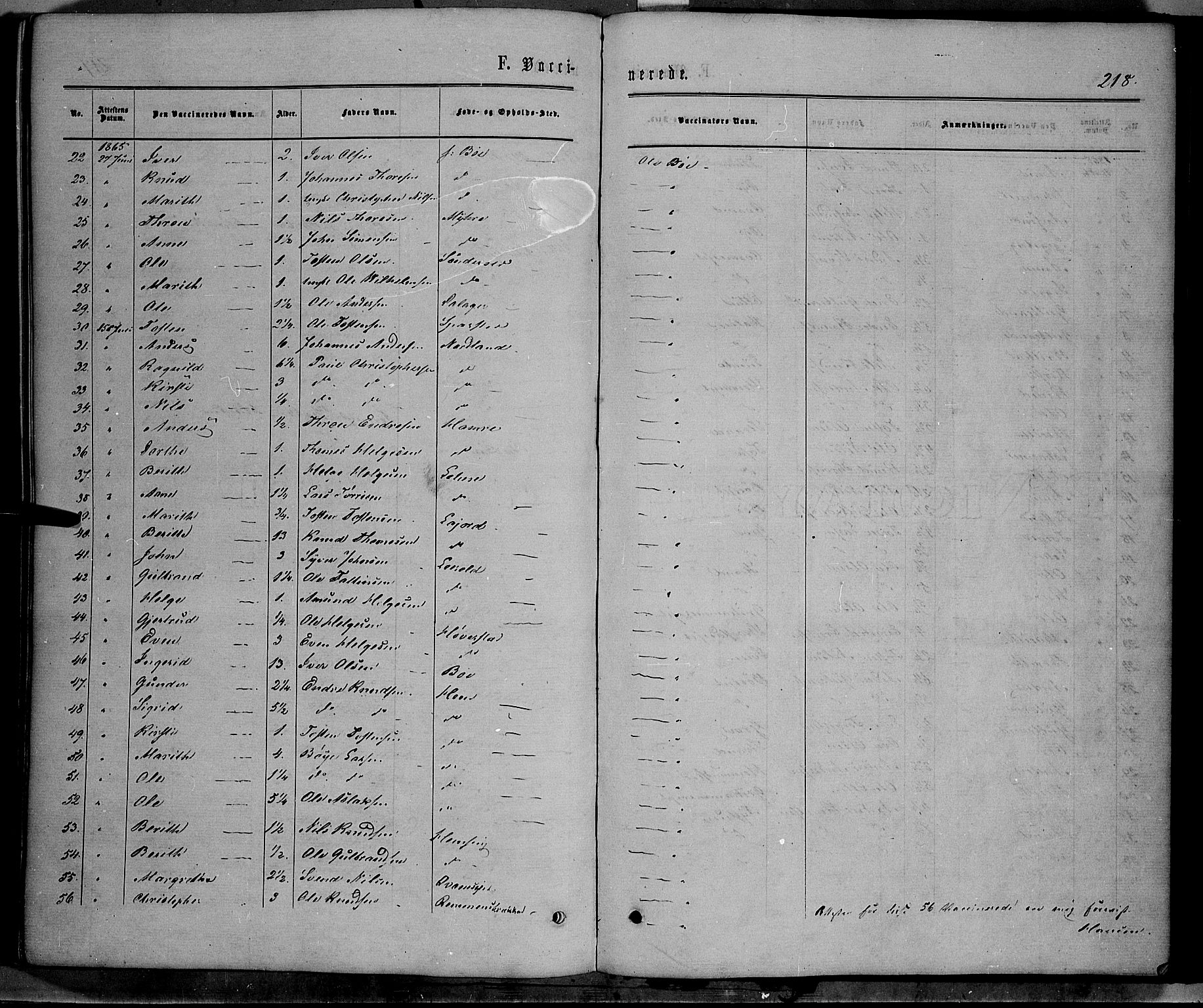 Vang prestekontor, Valdres, AV/SAH-PREST-140/H/Ha/L0007: Parish register (official) no. 7, 1865-1881, p. 218