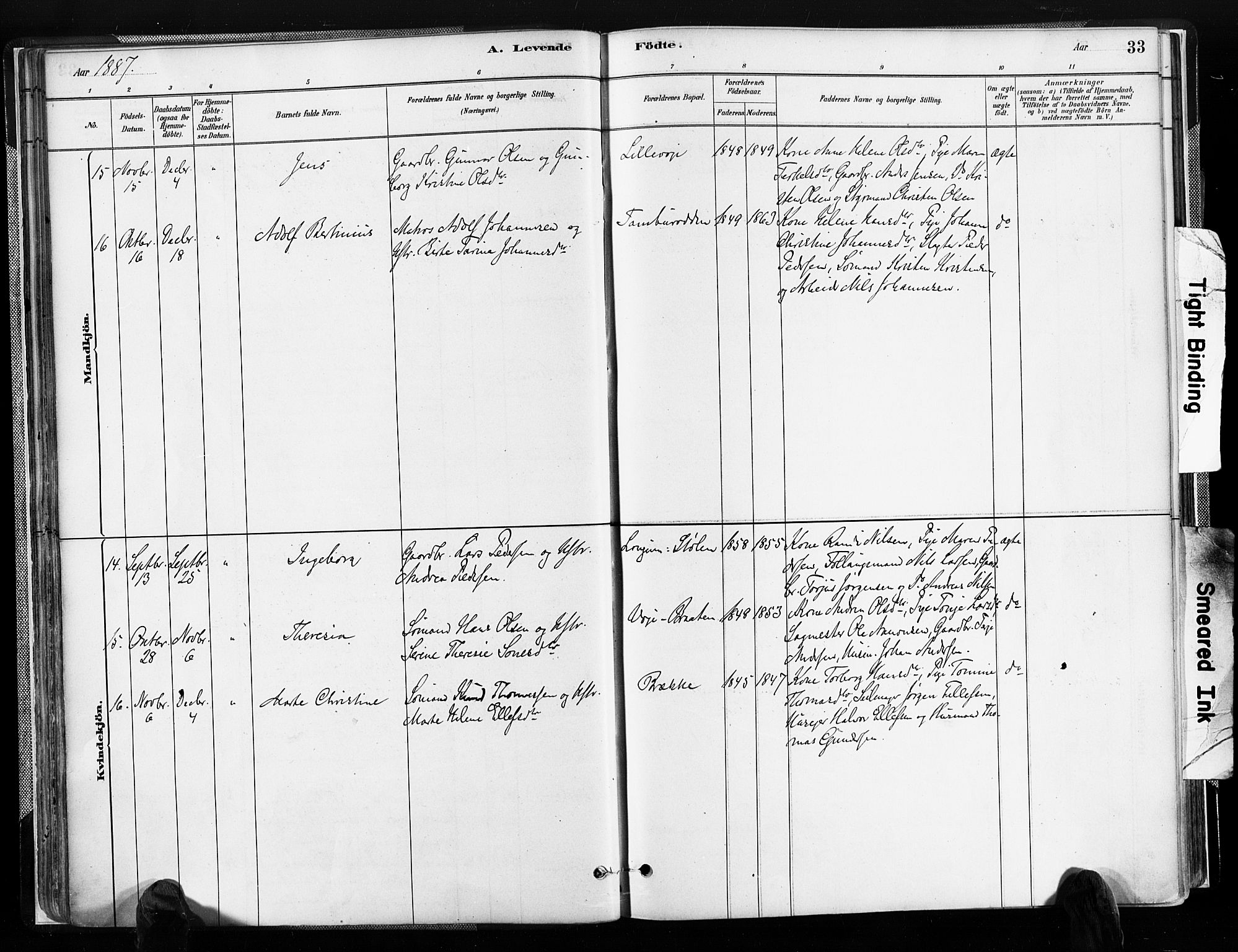 Austre Moland sokneprestkontor, SAK/1111-0001/F/Fa/Faa/L0010: Parish register (official) no. A 10, 1880-1904, p. 33