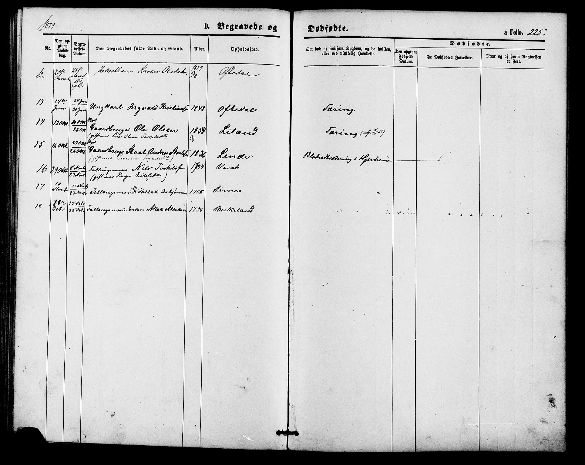 Bakke sokneprestkontor, AV/SAK-1111-0002/F/Fa/Faa/L0007: Parish register (official) no. A 7, 1877-1886, p. 225