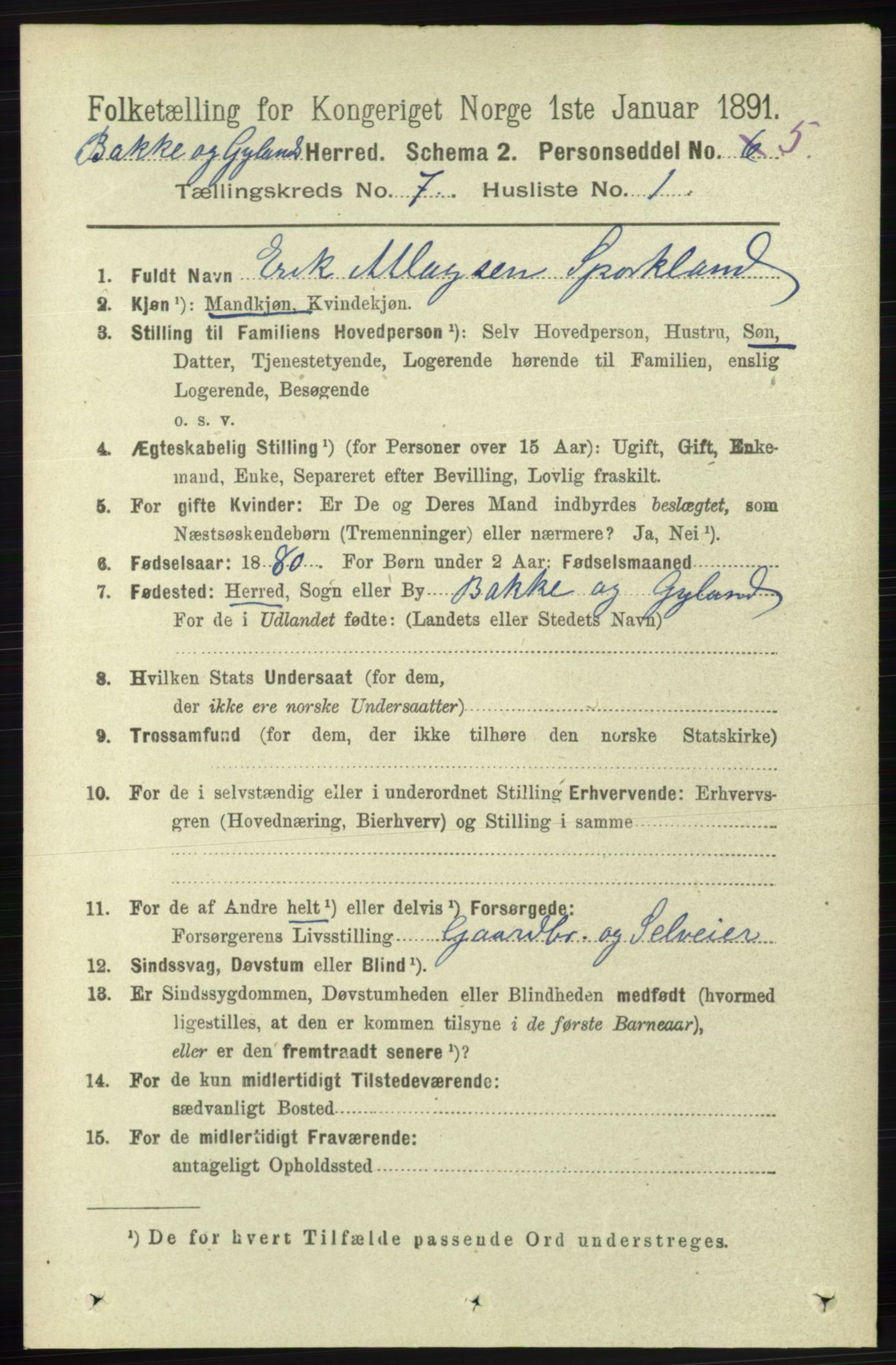 RA, 1891 census for 1045 Bakke, 1891, p. 1309