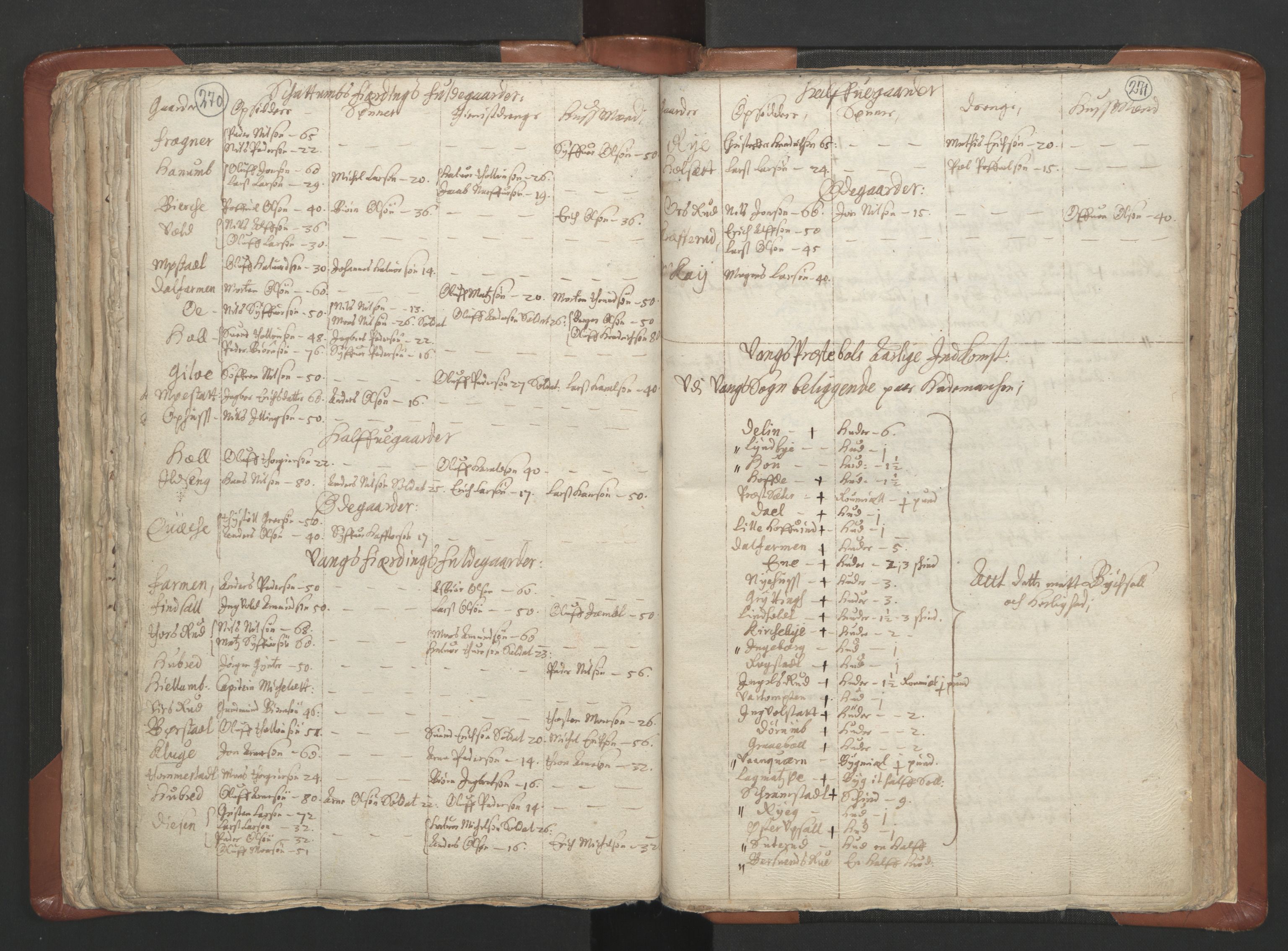 RA, Vicar's Census 1664-1666, no. 5: Hedmark deanery, 1664-1666, p. 270-271