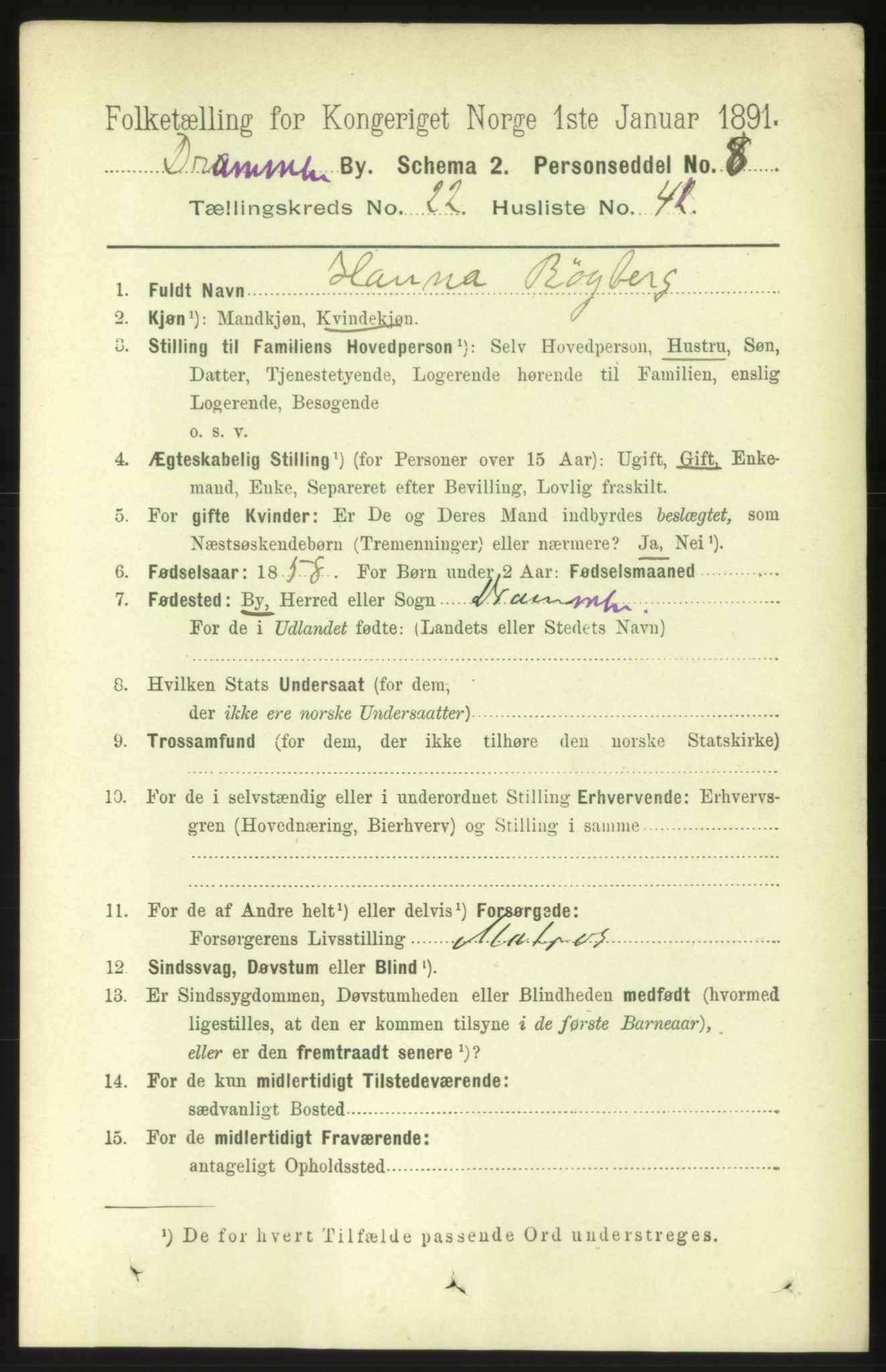 RA, 1891 census for 0602 Drammen, 1891, p. 14047