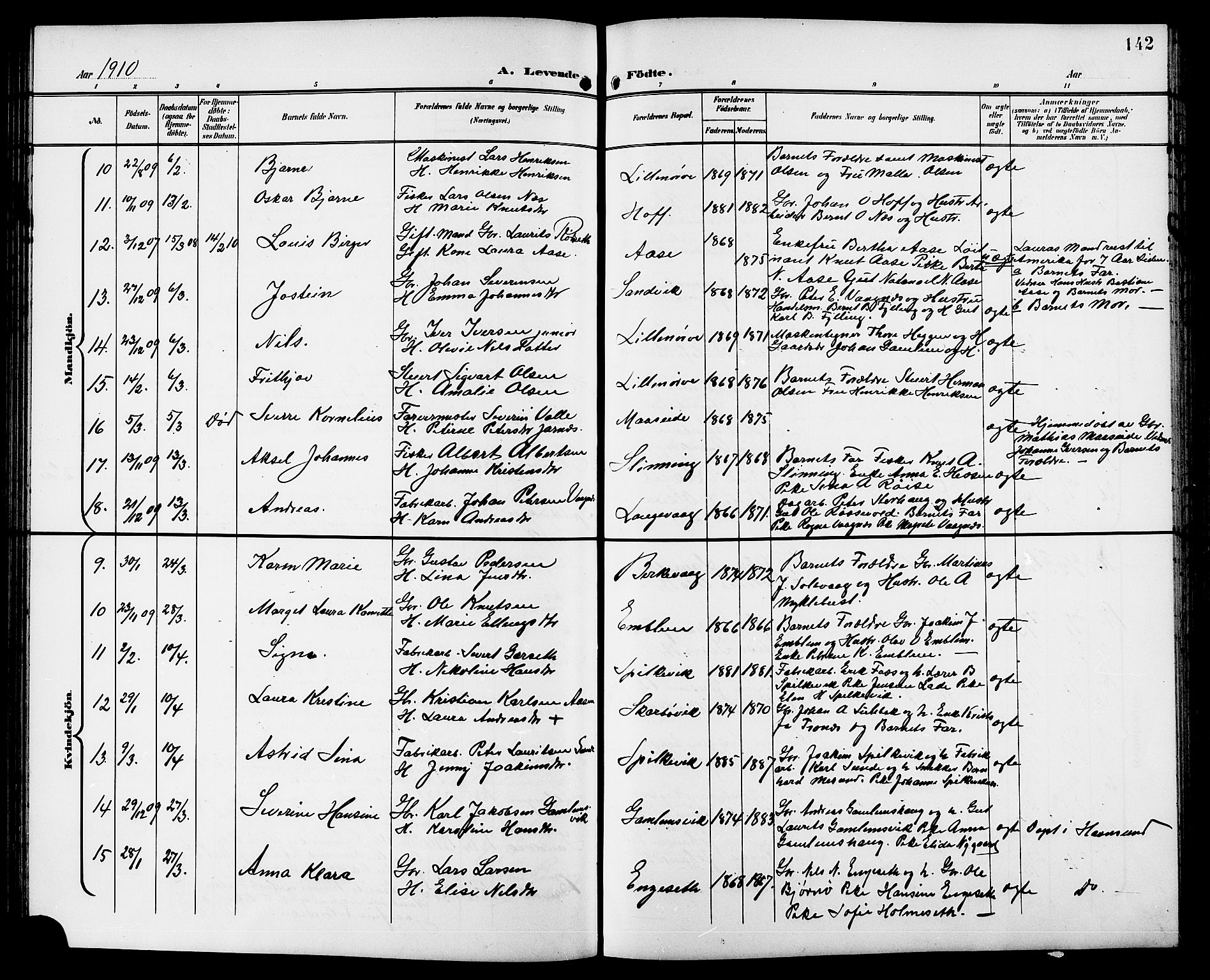 Ministerialprotokoller, klokkerbøker og fødselsregistre - Møre og Romsdal, AV/SAT-A-1454/528/L0432: Parish register (copy) no. 528C13, 1898-1918, p. 142