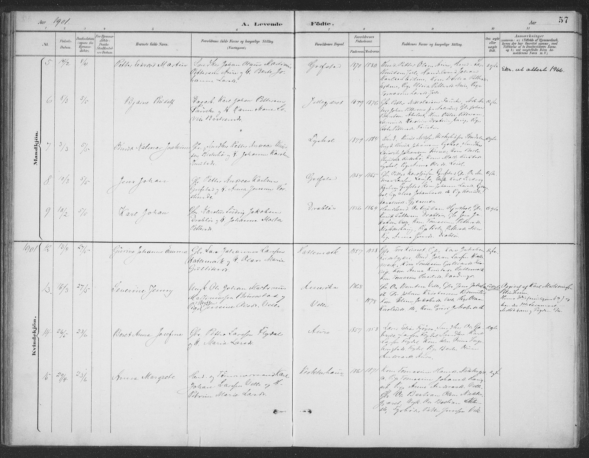 Ministerialprotokoller, klokkerbøker og fødselsregistre - Møre og Romsdal, AV/SAT-A-1454/523/L0335: Parish register (official) no. 523A02, 1891-1911, p. 57