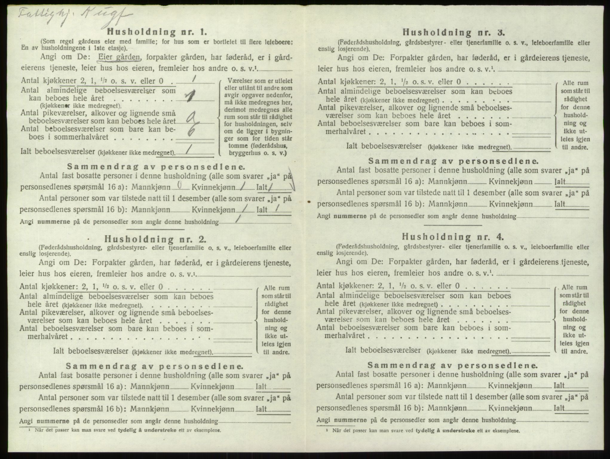 SAO, 1920 census for Hvaler, 1920, p. 989