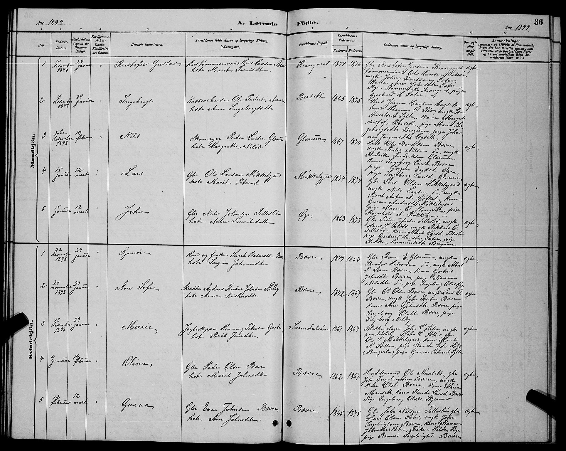 Ministerialprotokoller, klokkerbøker og fødselsregistre - Møre og Romsdal, AV/SAT-A-1454/595/L1052: Parish register (copy) no. 595C04, 1885-1900, p. 36