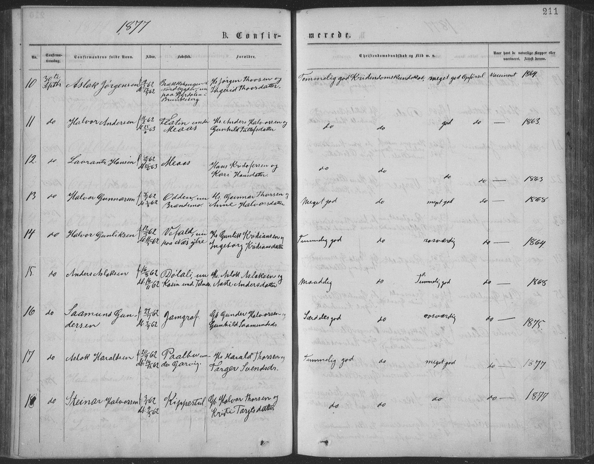 Seljord kirkebøker, SAKO/A-20/F/Fa/L0014: Parish register (official) no. I 14, 1877-1886, p. 211
