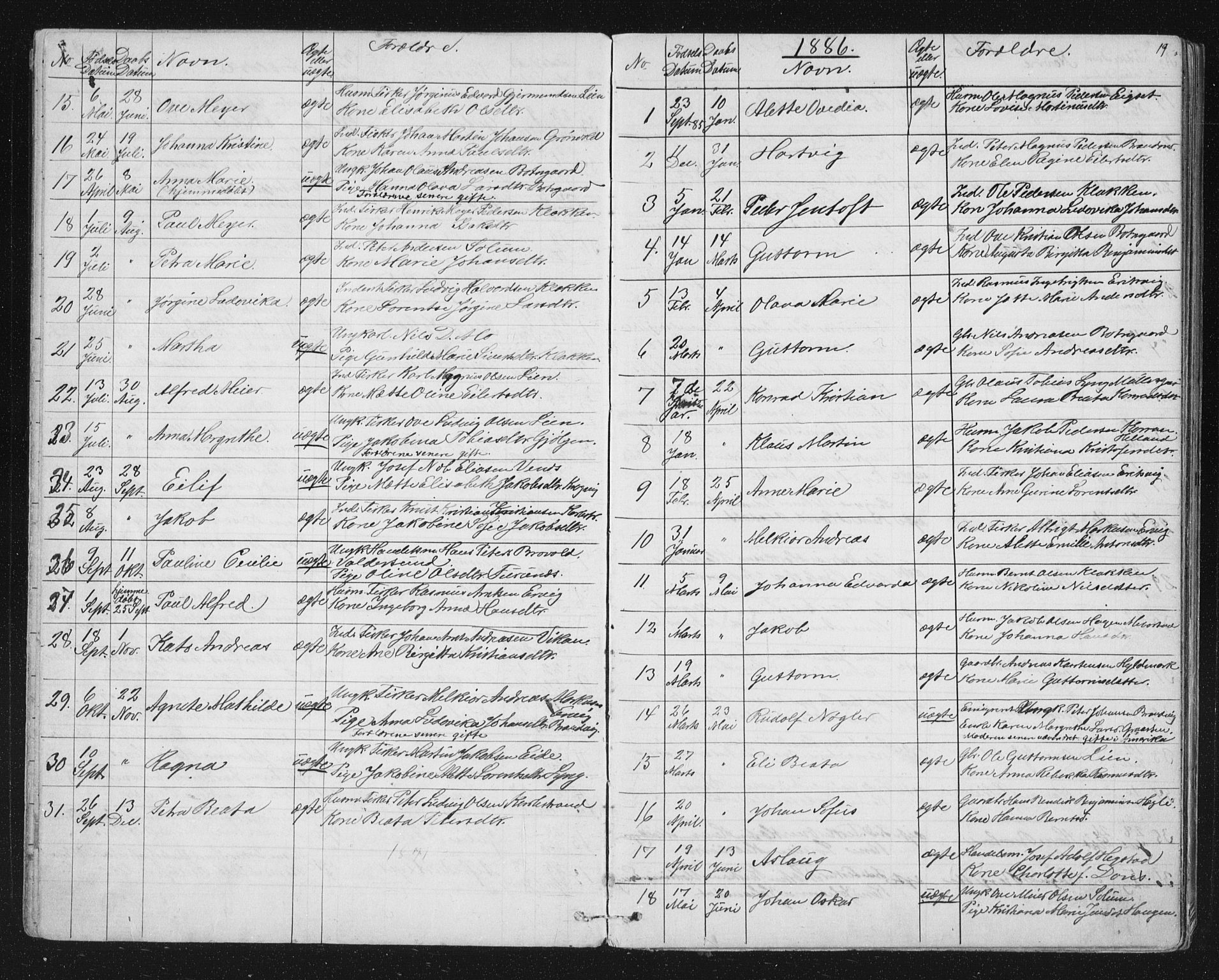 Ministerialprotokoller, klokkerbøker og fødselsregistre - Sør-Trøndelag, AV/SAT-A-1456/651/L0647: Parish register (copy) no. 651C01, 1866-1914, p. 19