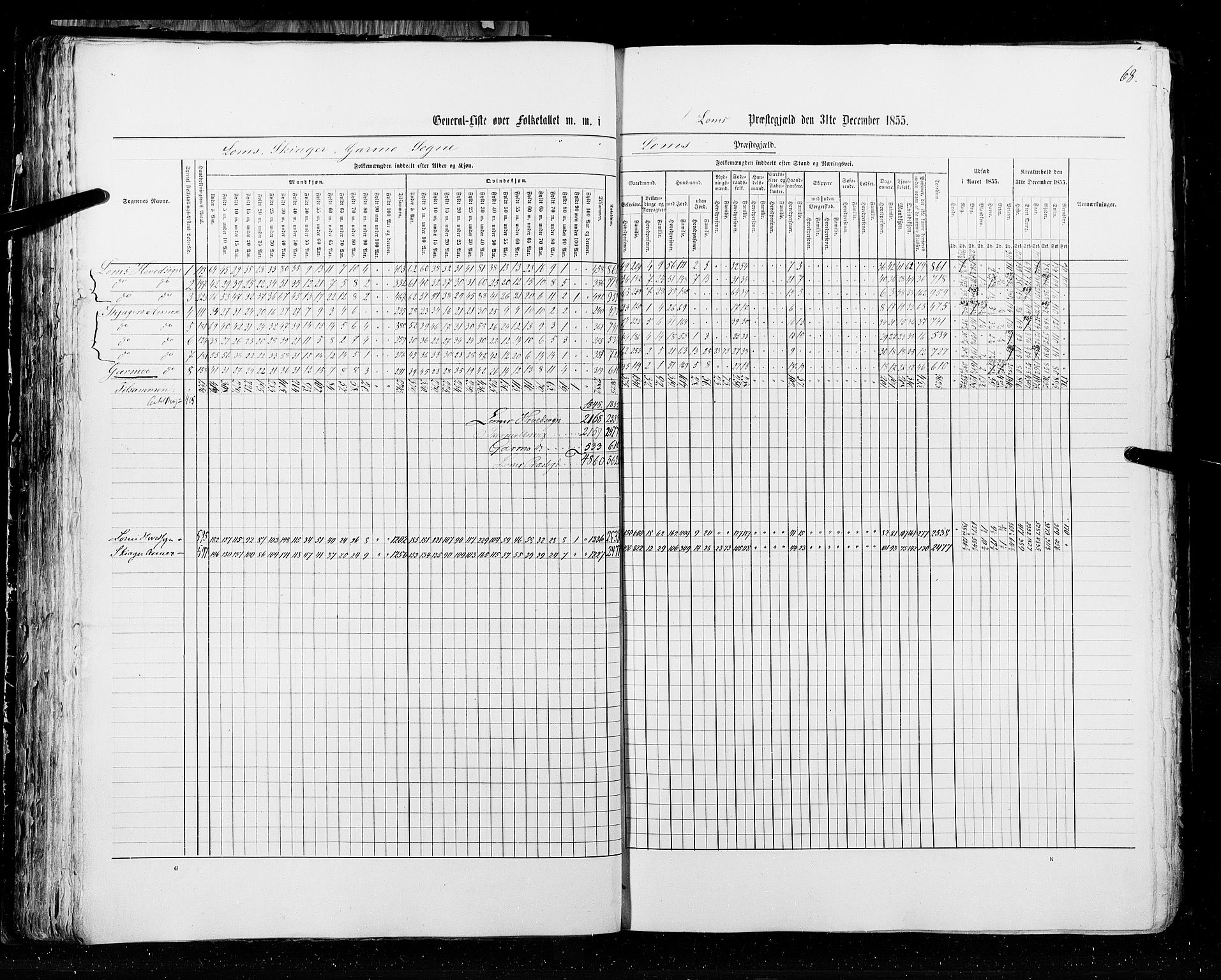 RA, Census 1855, vol. 2: Kristians amt, Buskerud amt og Jarlsberg og Larvik amt, 1855, p. 68