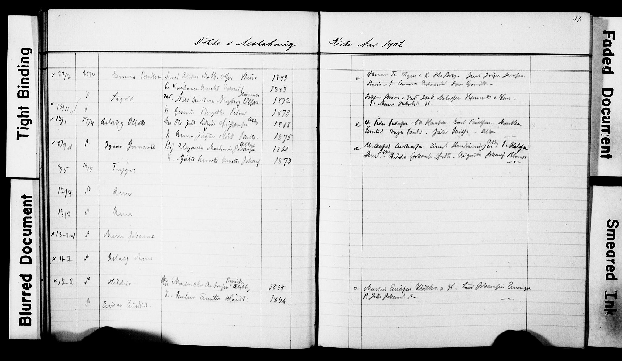 Ministerialprotokoller, klokkerbøker og fødselsregistre - Nordland, AV/SAT-A-1459/830/L0465: Parish register (copy) no. 830C07, 1891-1905, p. 37