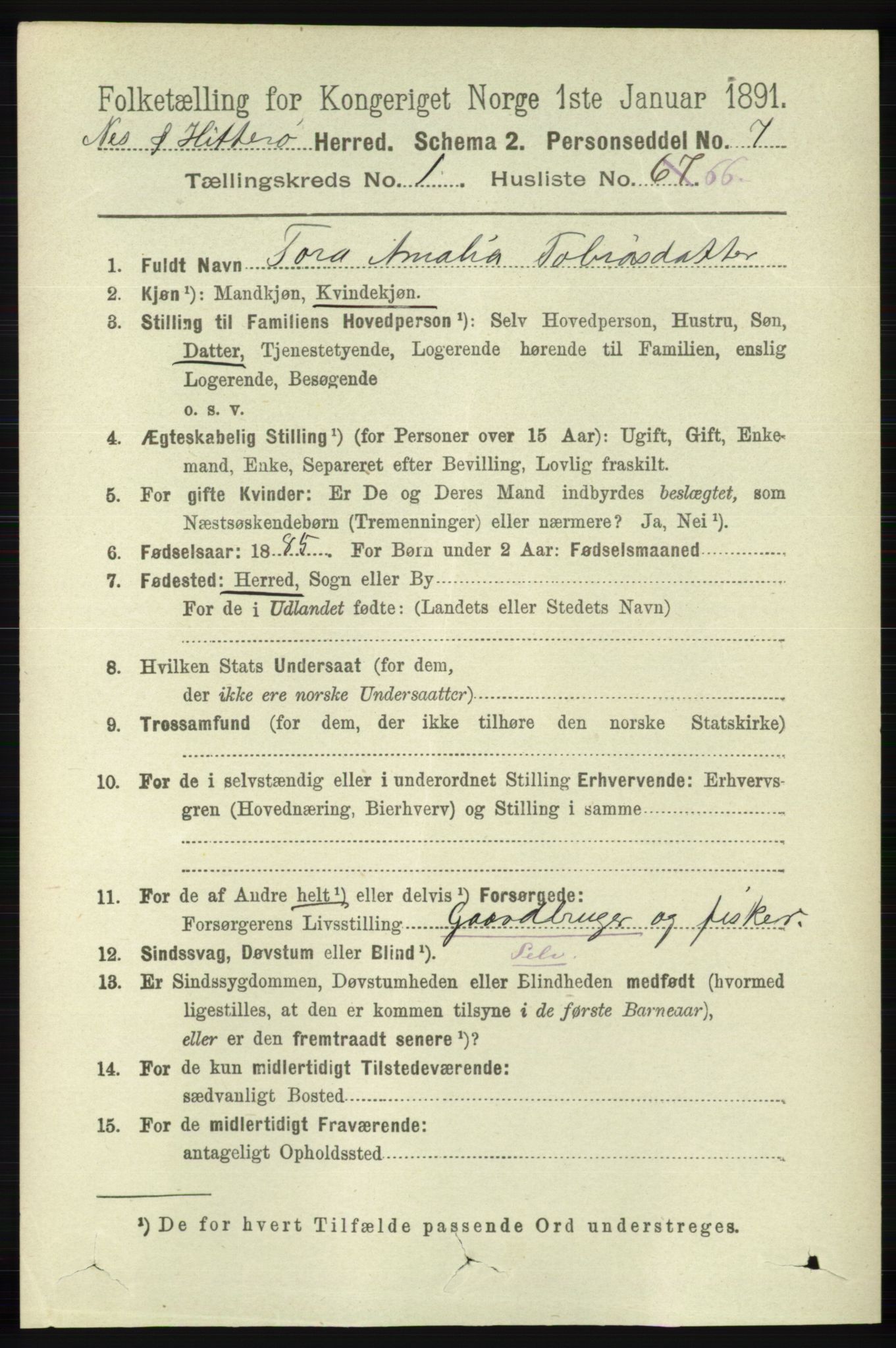 RA, 1891 census for 1043 Hidra og Nes, 1891, p. 466