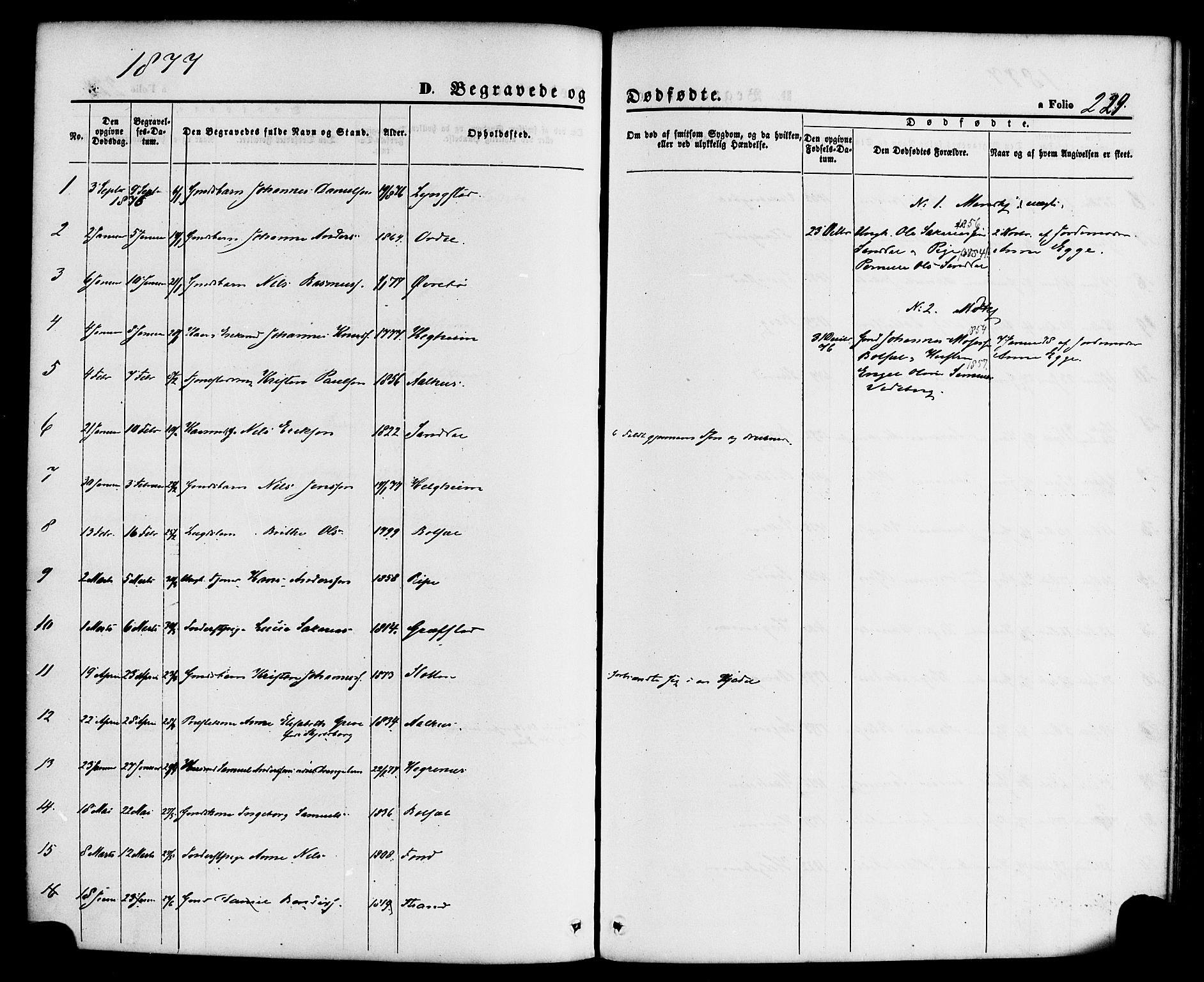 Jølster sokneprestembete, SAB/A-80701/H/Haa/Haaa/L0011: Parish register (official) no. A 11, 1866-1881, p. 229