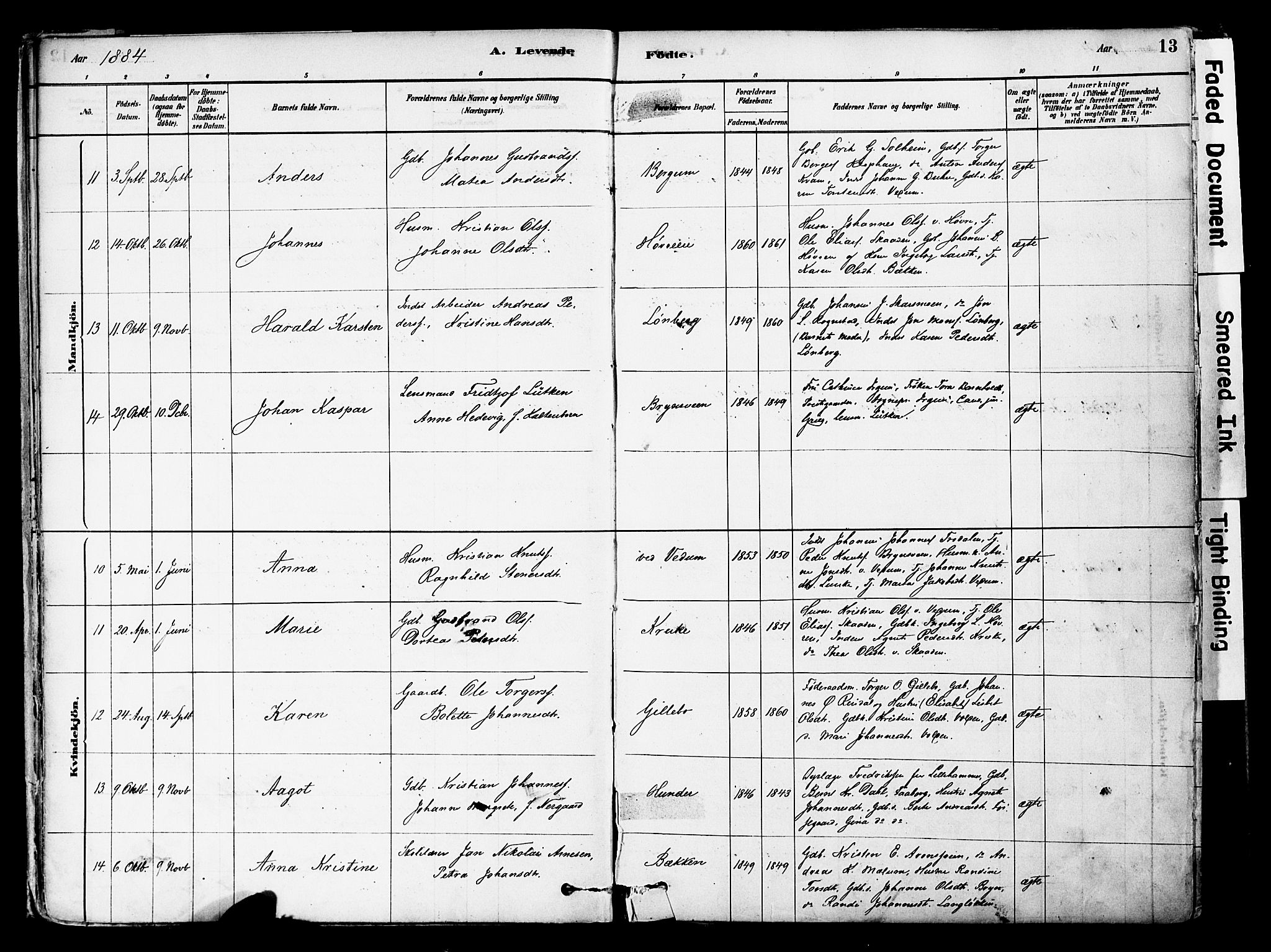 Øyer prestekontor, SAH/PREST-084/H/Ha/Haa/L0008: Parish register (official) no. 8, 1878-1897, p. 13