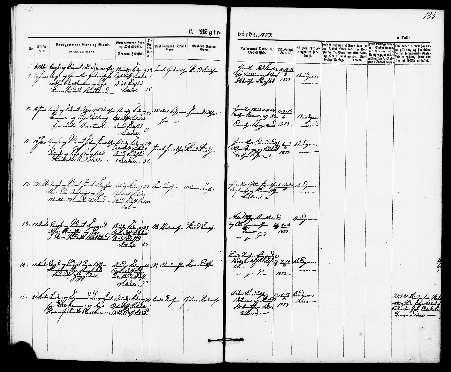 Suldal sokneprestkontor, AV/SAST-A-101845/01/IV/L0010: Parish register (official) no. A 10, 1869-1878, p. 133