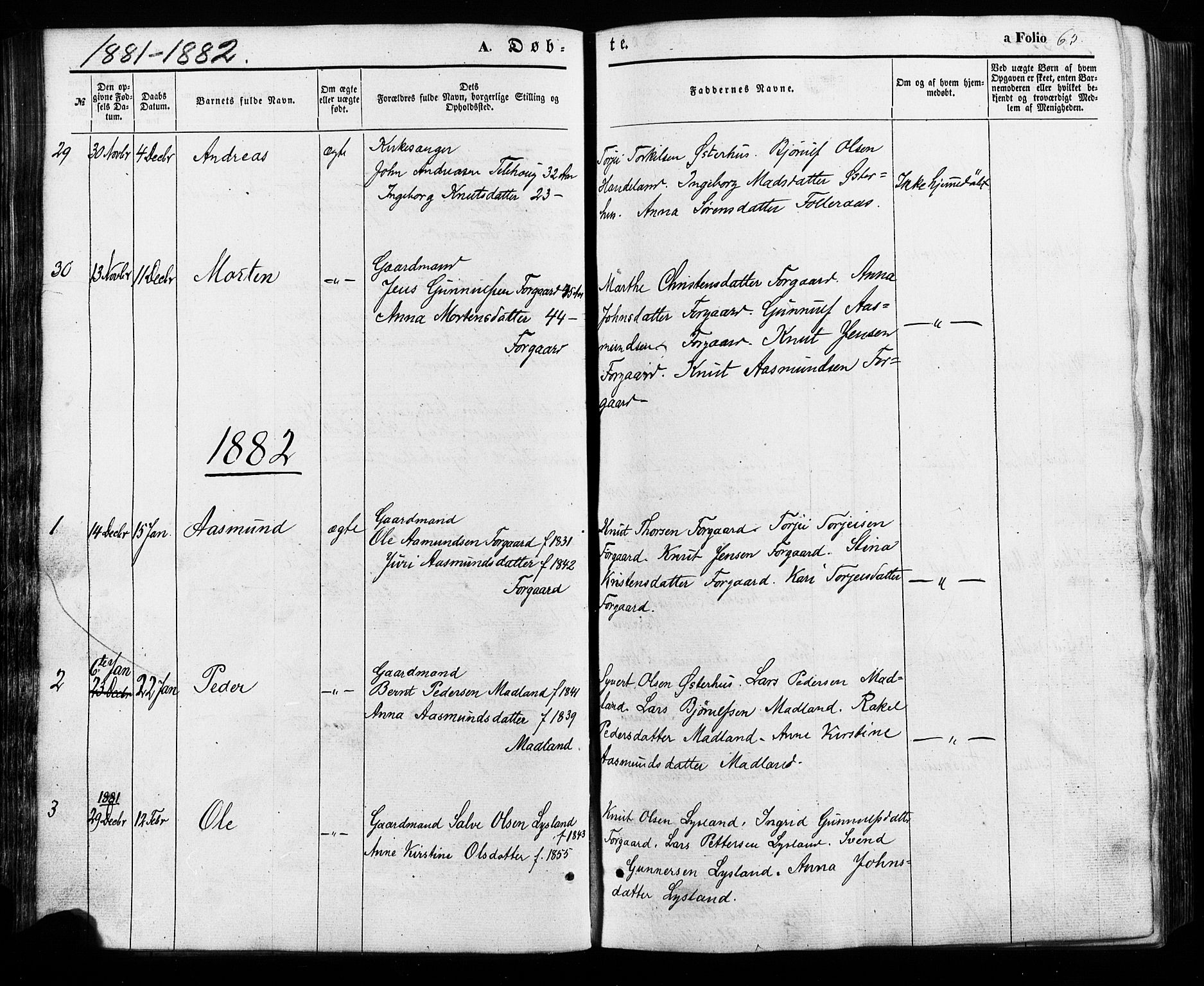 Åseral sokneprestkontor, SAK/1111-0051/F/Fa/L0002: Parish register (official) no. A 2, 1854-1884, p. 65