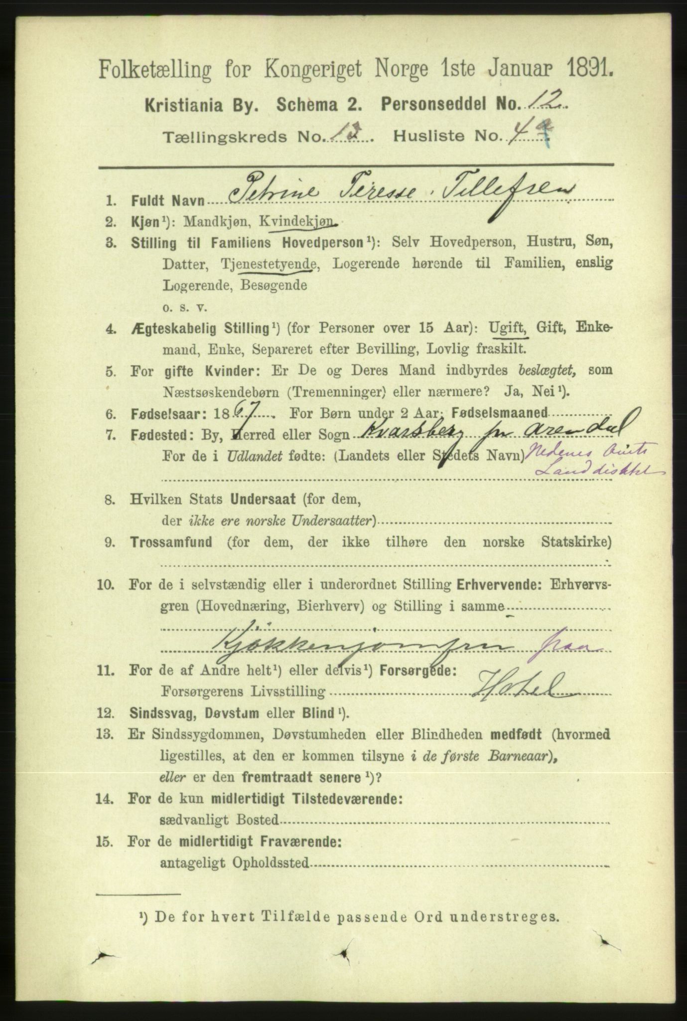 RA, 1891 census for 0301 Kristiania, 1891, p. 6048