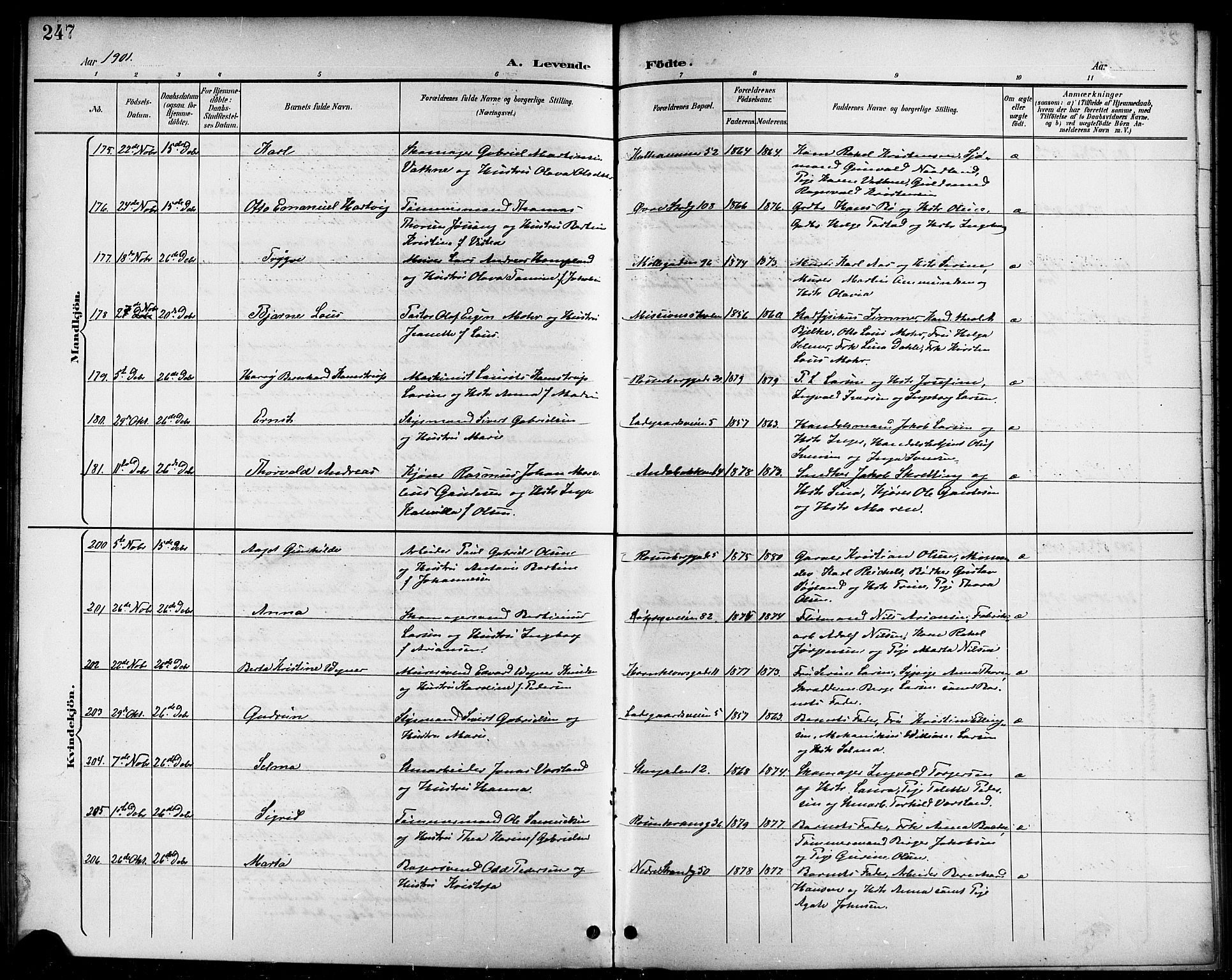 Domkirken sokneprestkontor, SAST/A-101812/001/30/30BB/L0016: Parish register (copy) no. B 16, 1891-1902, p. 247