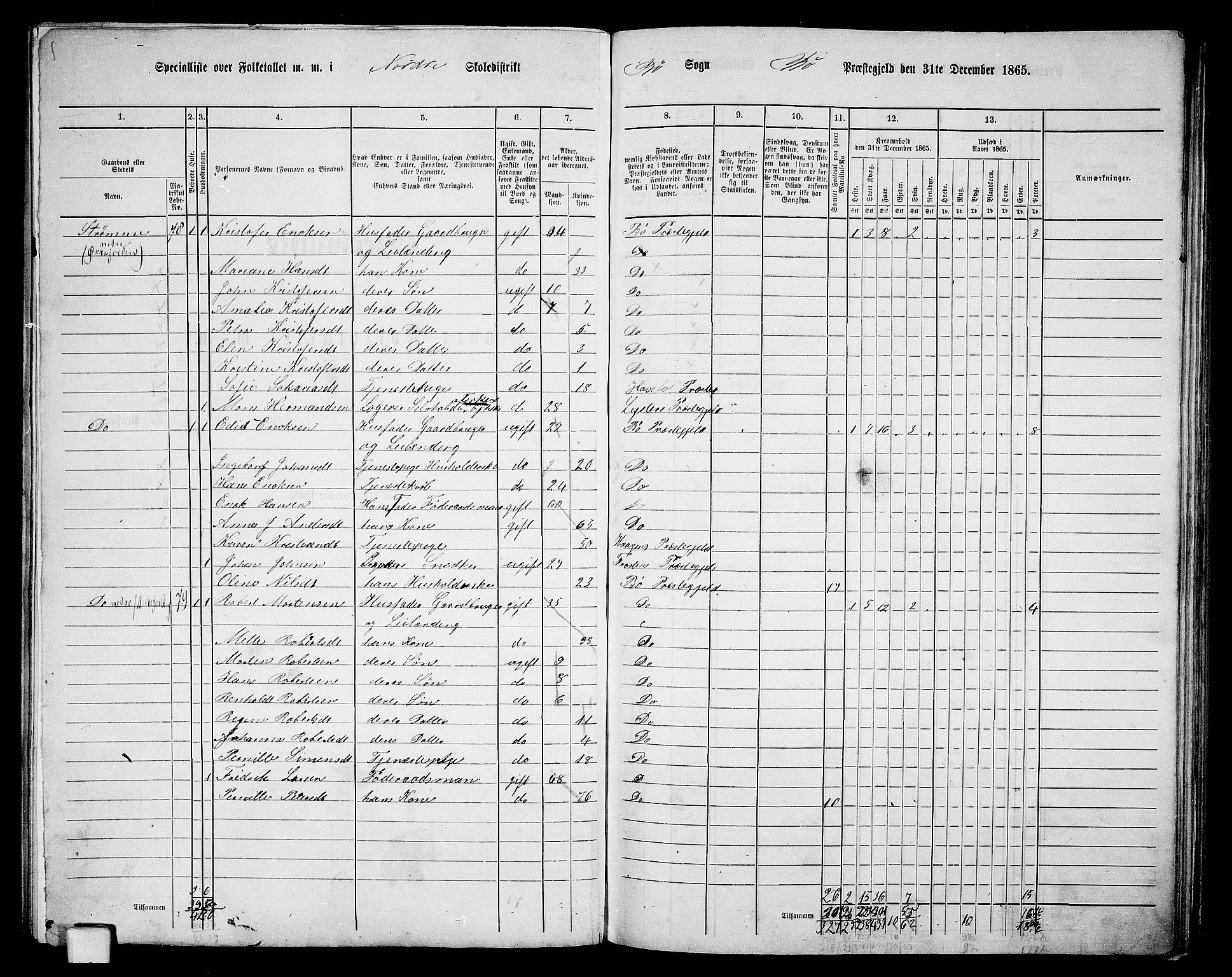 RA, 1865 census for Bø, 1865, p. 19