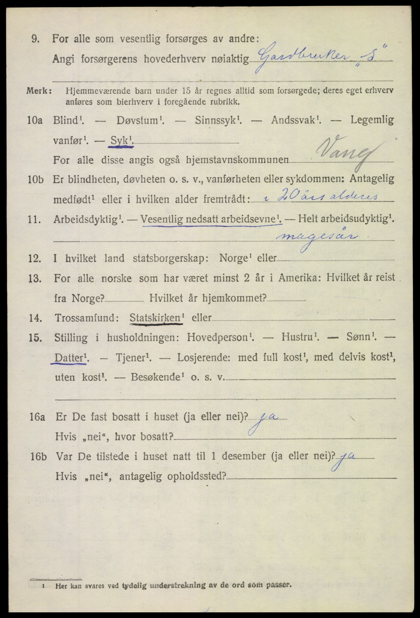 SAH, 1920 census for Vang (Oppland), 1920, p. 2624