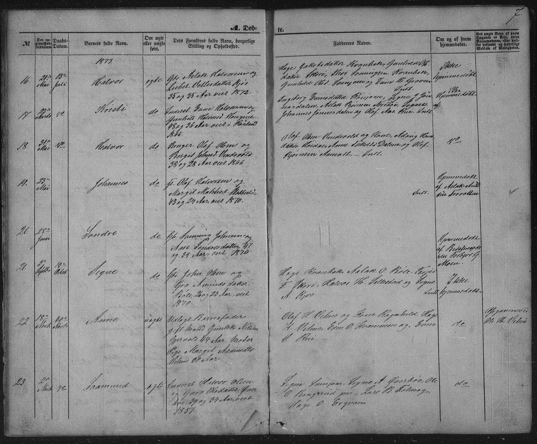 Seljord kirkebøker, AV/SAKO-A-20/G/Gc/L0002: Parish register (copy) no. III 2, 1872-1886, p. 7