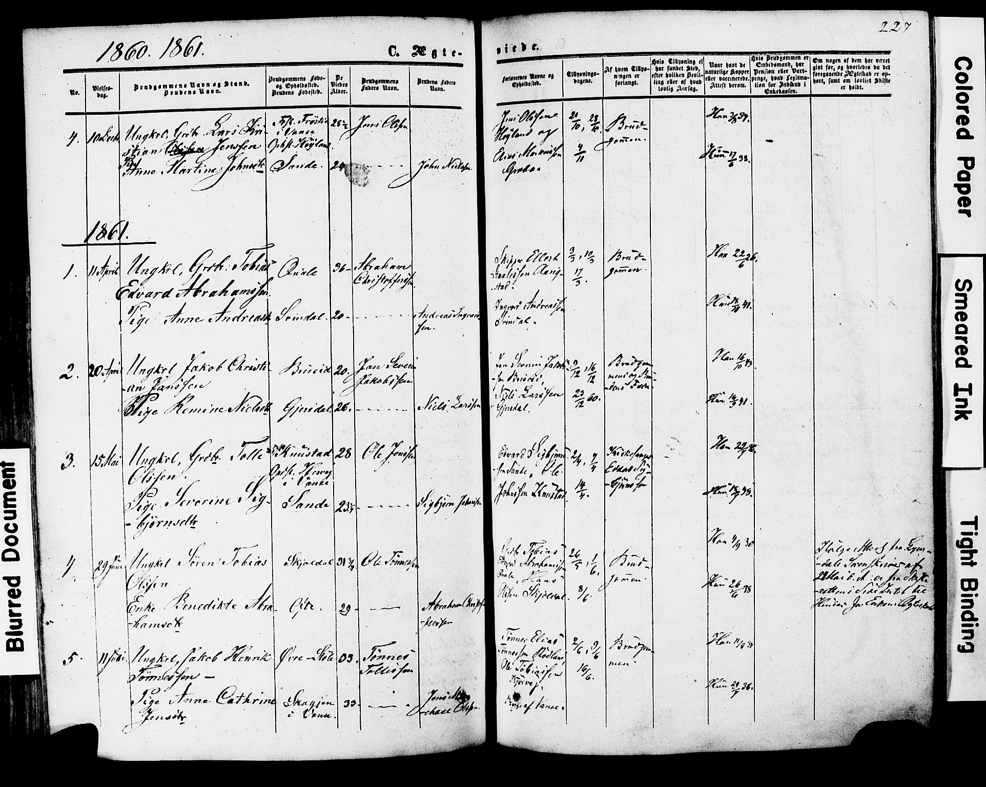 Herad sokneprestkontor, AV/SAK-1111-0018/F/Fa/Faa/L0005: Parish register (official) no. A 5, 1853-1886, p. 227