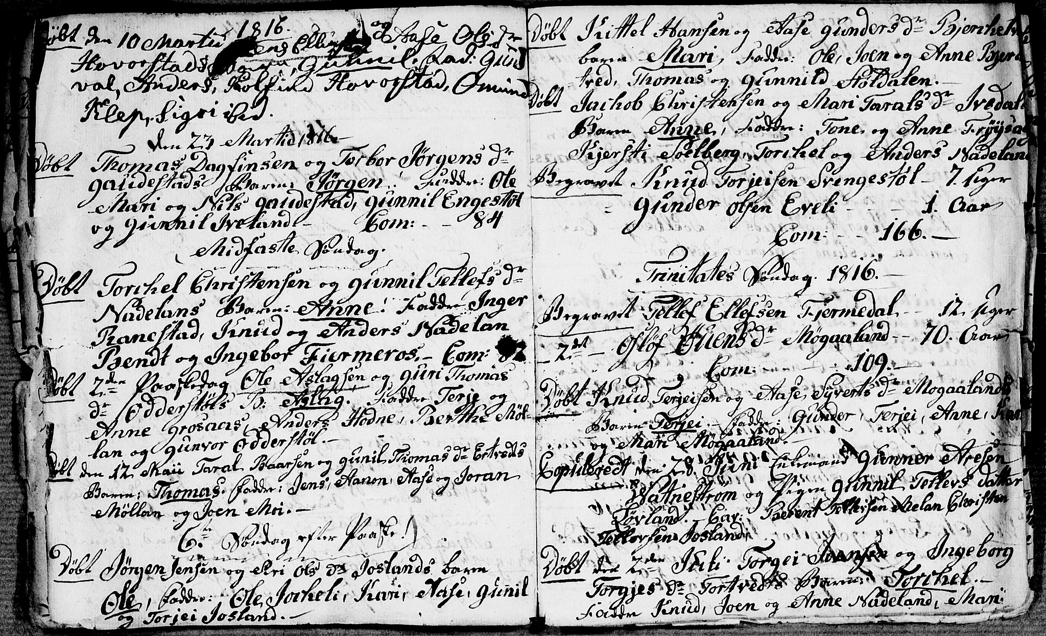 Evje sokneprestkontor, AV/SAK-1111-0008/F/Fa/Fac/L0002: Parish register (official) no. A 2, 1765-1816, p. 184