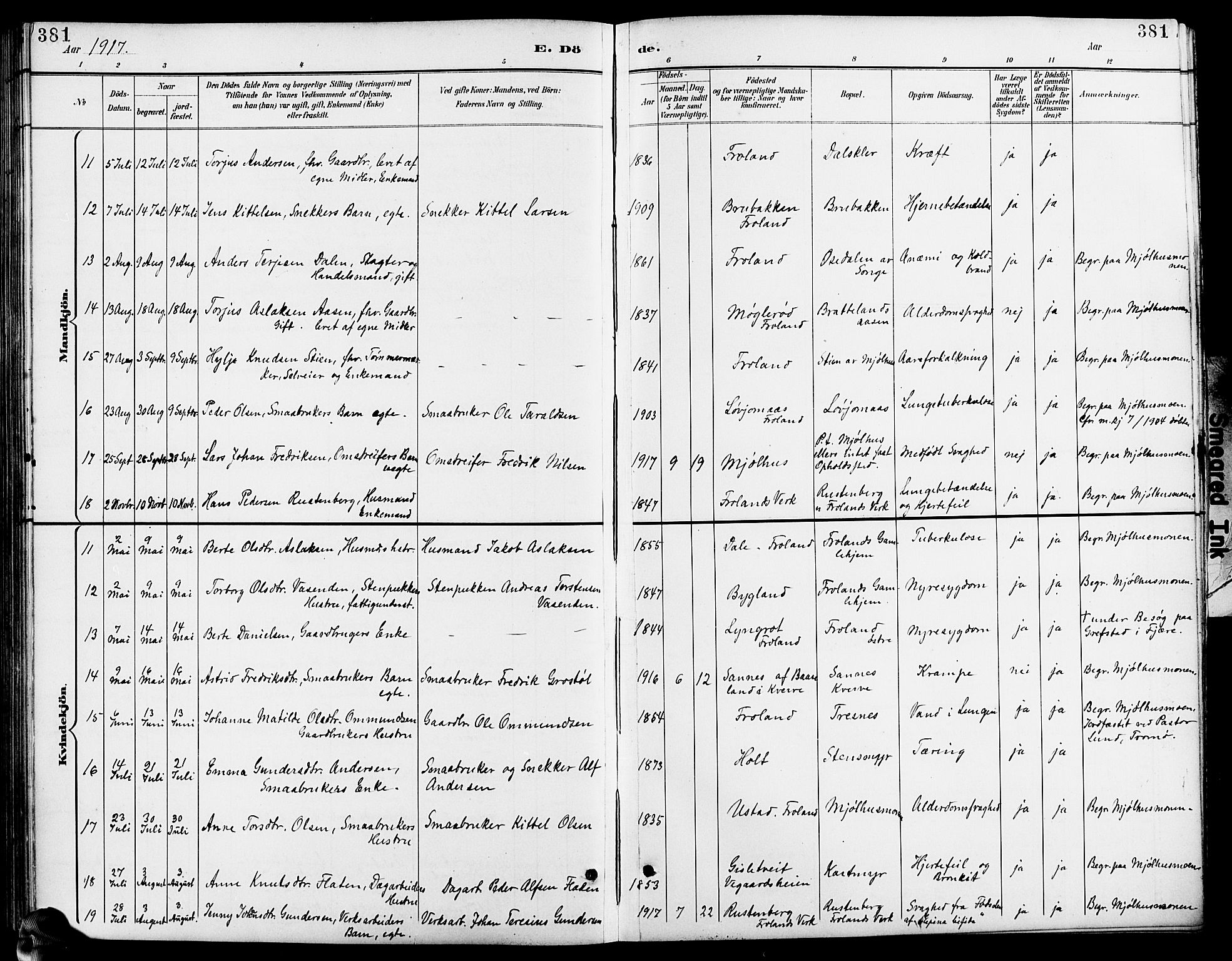 Froland sokneprestkontor, SAK/1111-0013/F/Fb/L0010: Parish register (copy) no. B 10, 1893-1920, p. 381