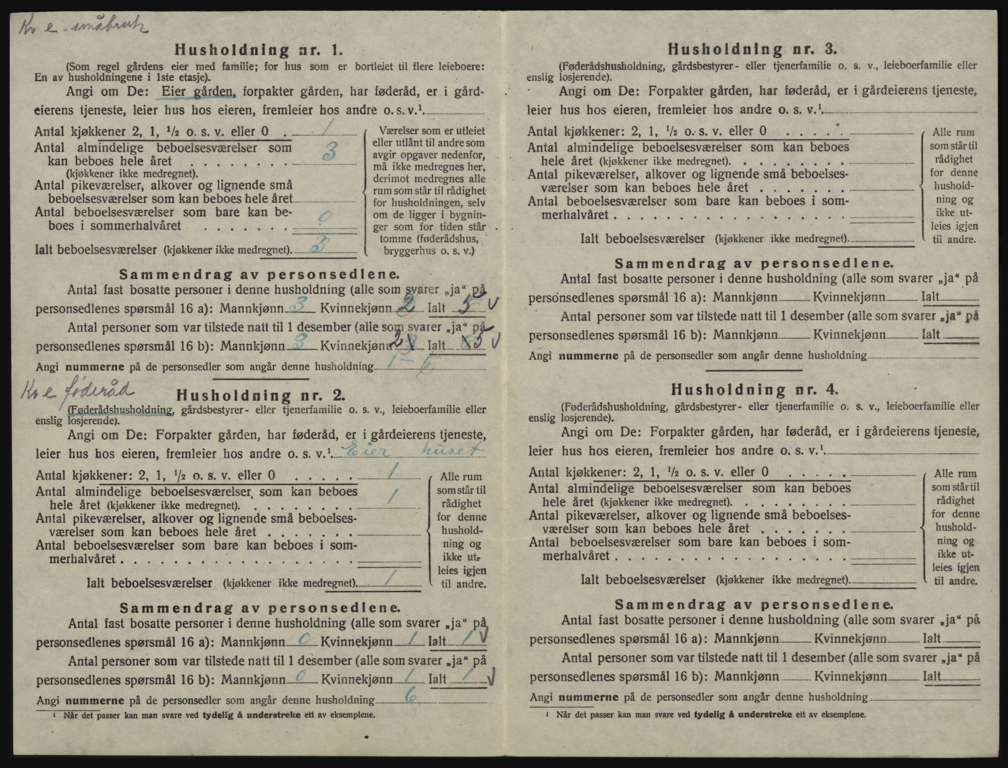 SAO, 1920 census for Våler, 1920, p. 51