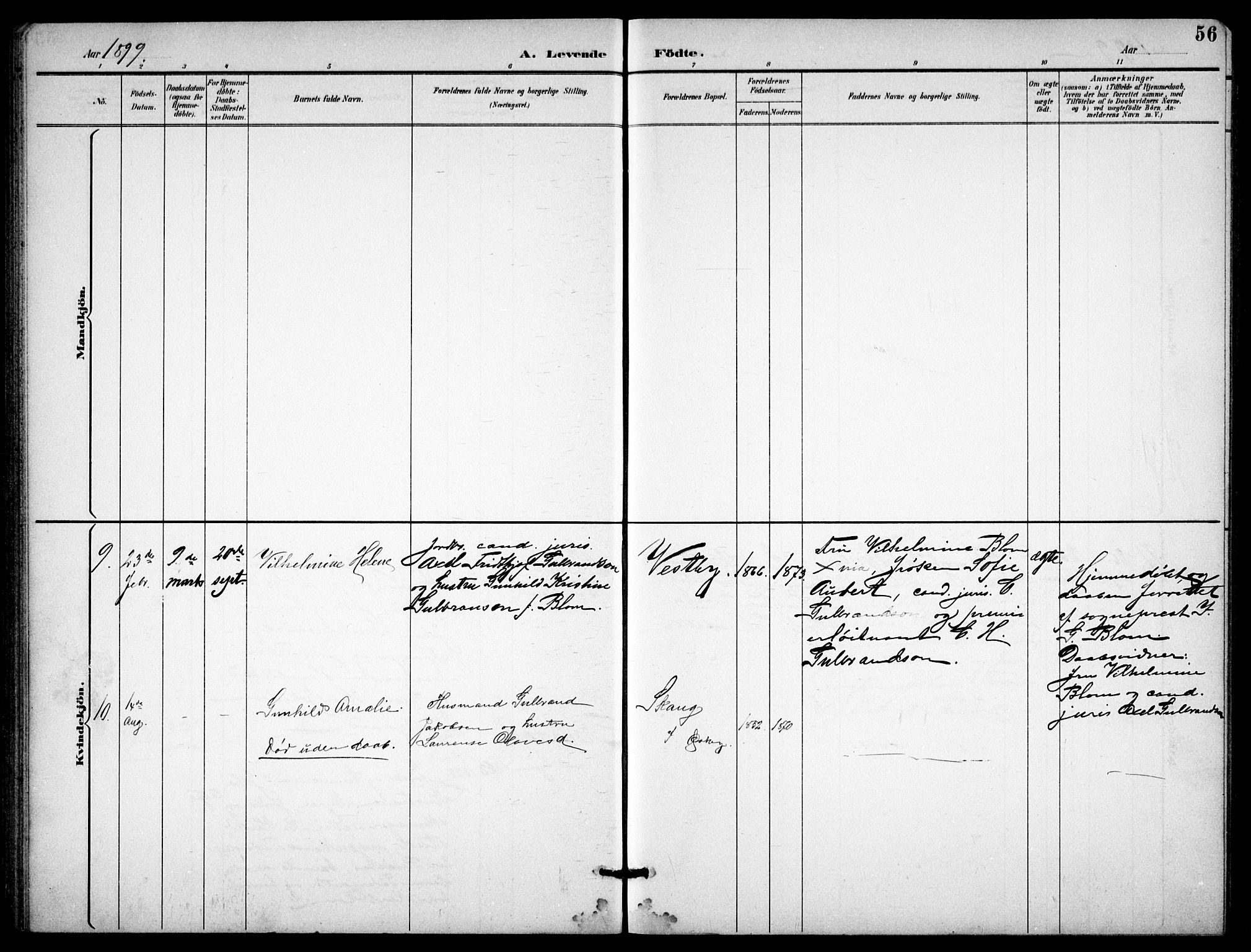 Enebakk prestekontor Kirkebøker, SAO/A-10171c/G/Gb/L0002: Parish register (copy) no. II 2, 1891-1903, p. 56