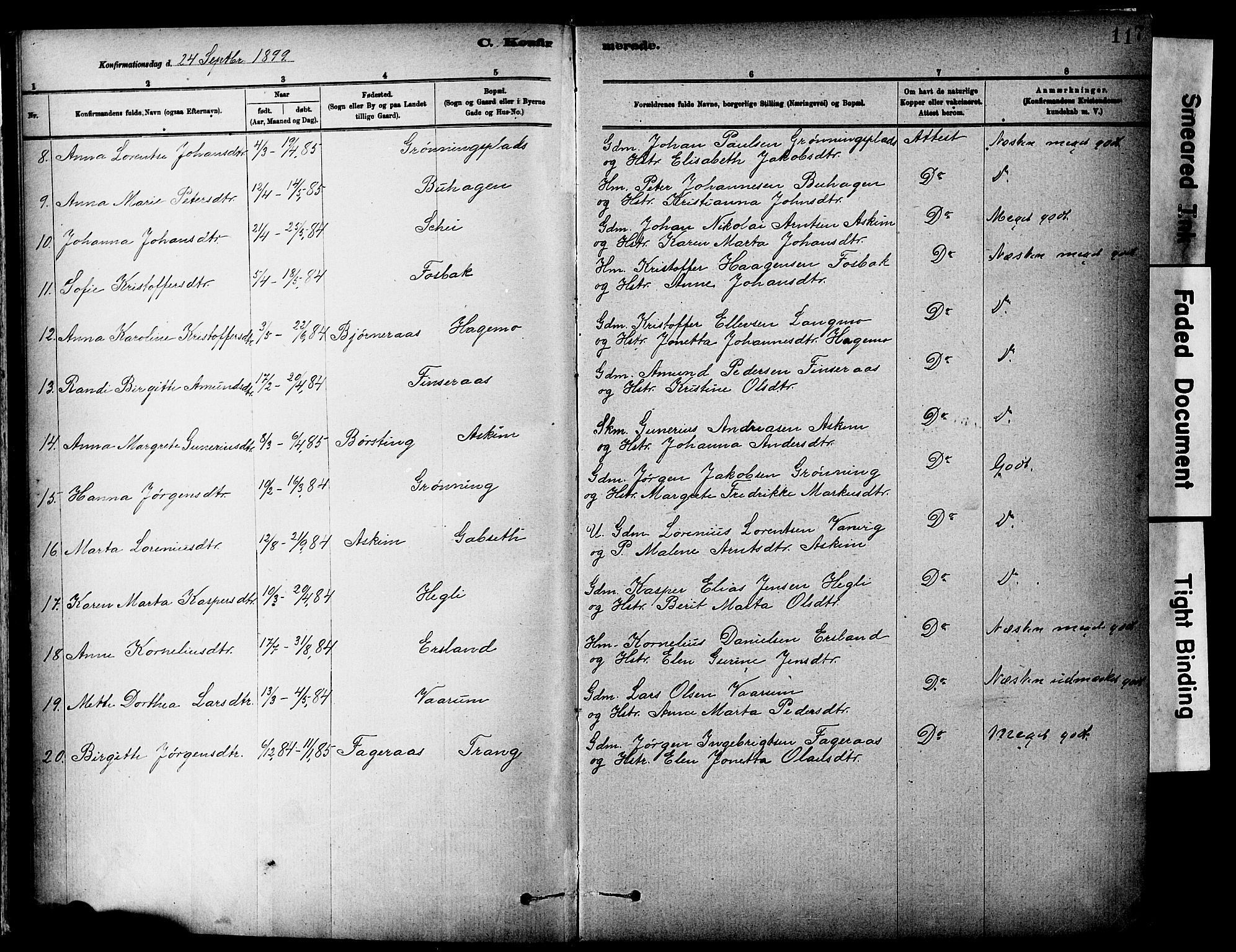 Ministerialprotokoller, klokkerbøker og fødselsregistre - Sør-Trøndelag, SAT/A-1456/646/L0615: Parish register (official) no. 646A13, 1885-1900, p. 117