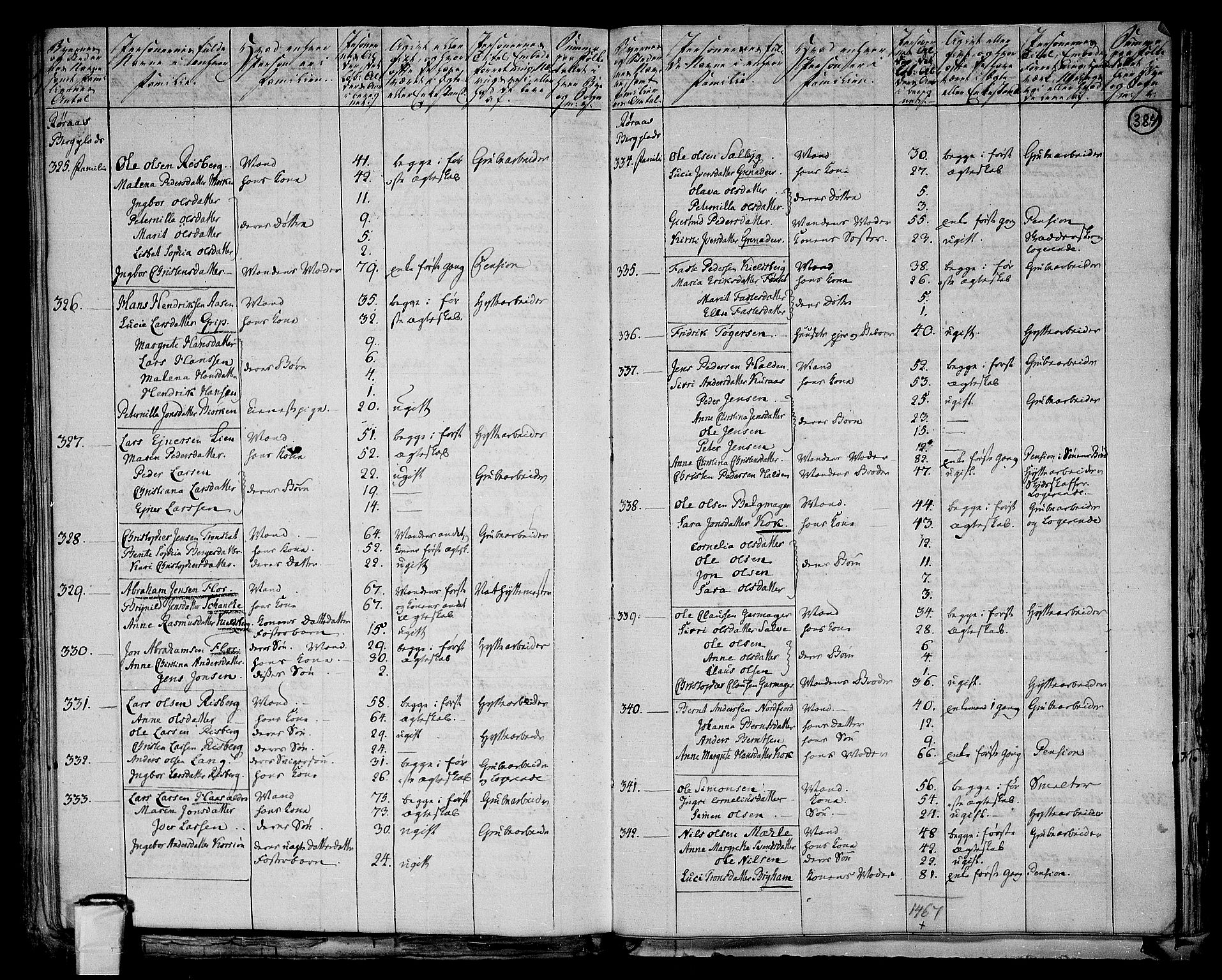 RA, 1801 census for 1640P Røros, 1801, p. 383b-384a