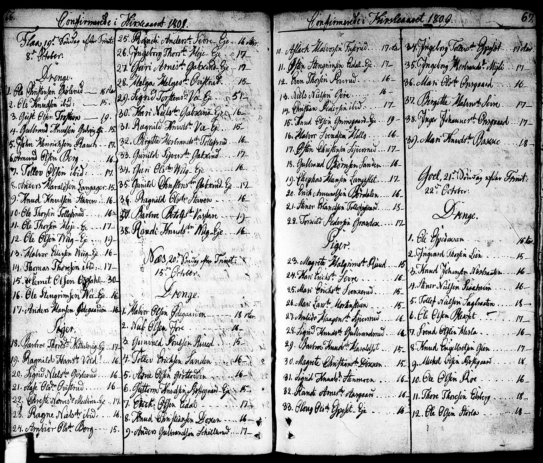Nes kirkebøker, SAKO/A-236/F/Fa/L0006: Parish register (official) no. 6, 1808-1814, p. 66-67