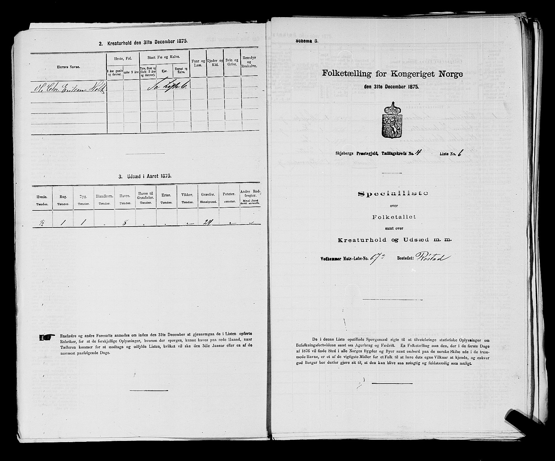 RA, 1875 census for 0115P Skjeberg, 1875, p. 721