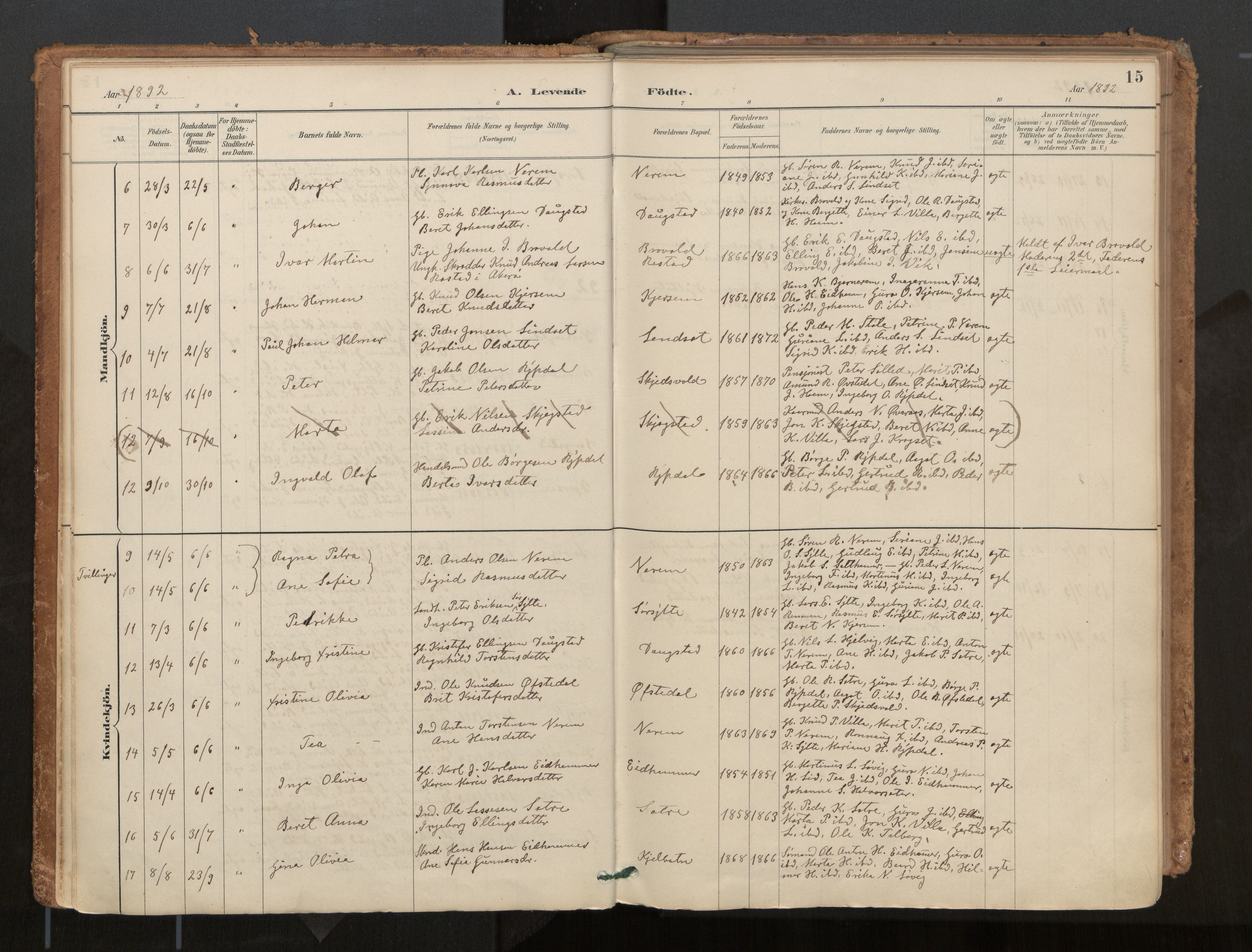 Ministerialprotokoller, klokkerbøker og fødselsregistre - Møre og Romsdal, AV/SAT-A-1454/541/L0545a: Parish register (official) no. 541A03, 1887-1912, p. 15