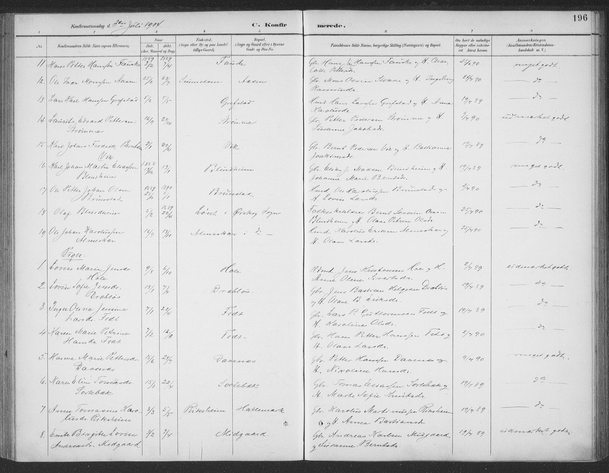 Ministerialprotokoller, klokkerbøker og fødselsregistre - Møre og Romsdal, AV/SAT-A-1454/523/L0335: Parish register (official) no. 523A02, 1891-1911, p. 196