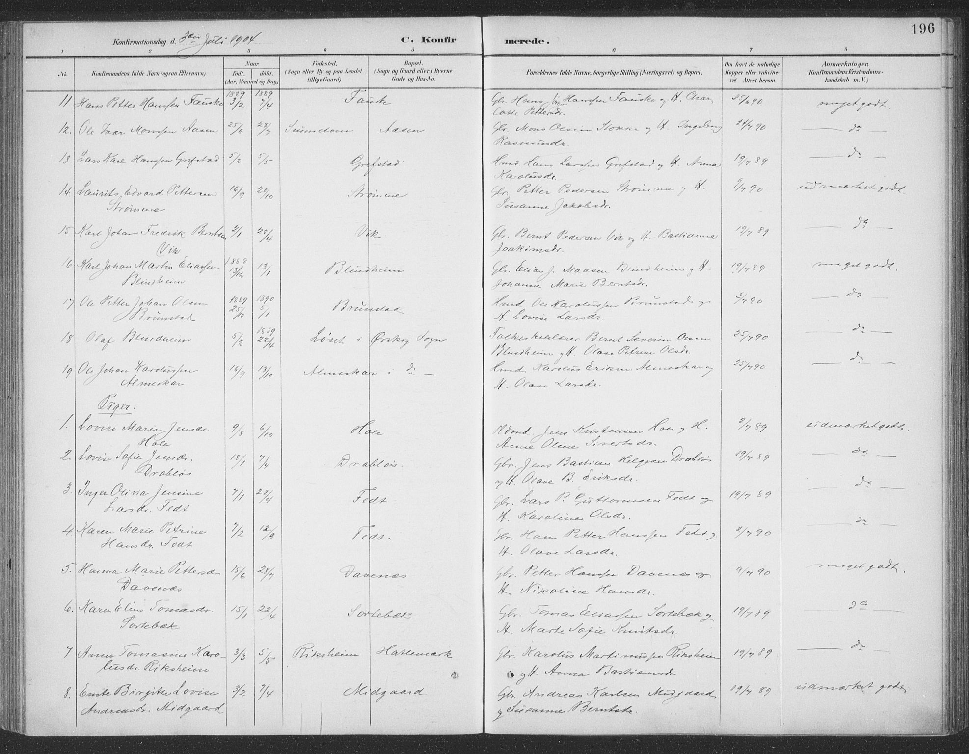 Ministerialprotokoller, klokkerbøker og fødselsregistre - Møre og Romsdal, SAT/A-1454/523/L0335: Parish register (official) no. 523A02, 1891-1911, p. 196