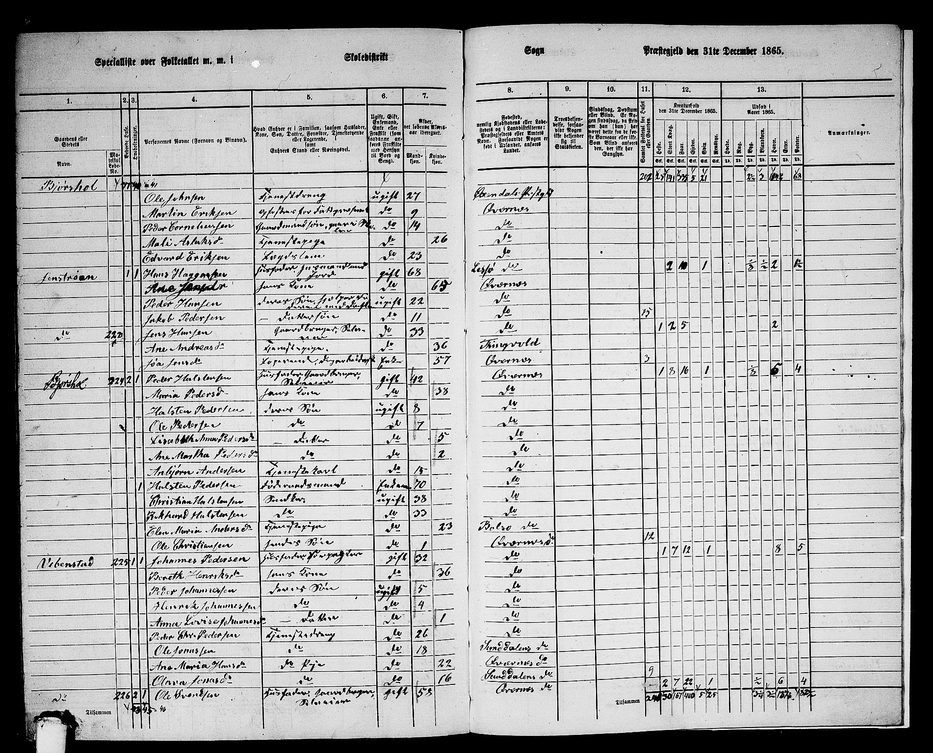 RA, 1865 census for Kvernes, 1865, p. 238