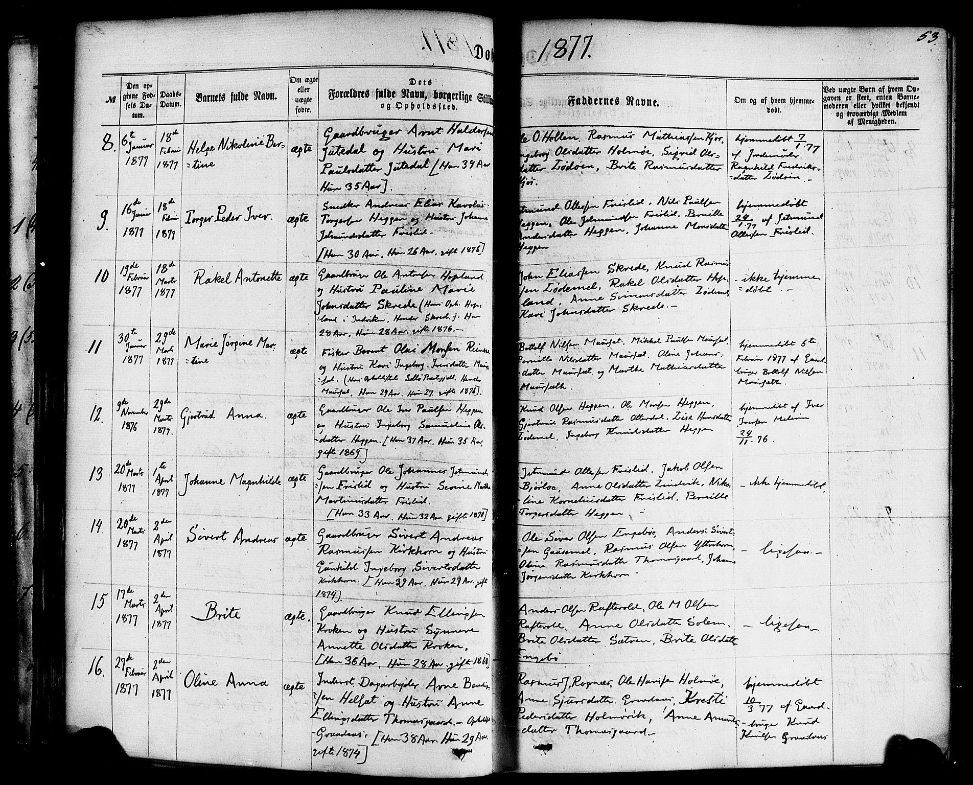 Hornindal sokneprestembete, AV/SAB-A-82401/H/Haa/Haaa/L0002: Parish register (official) no. A 2, 1867-1884, p. 53