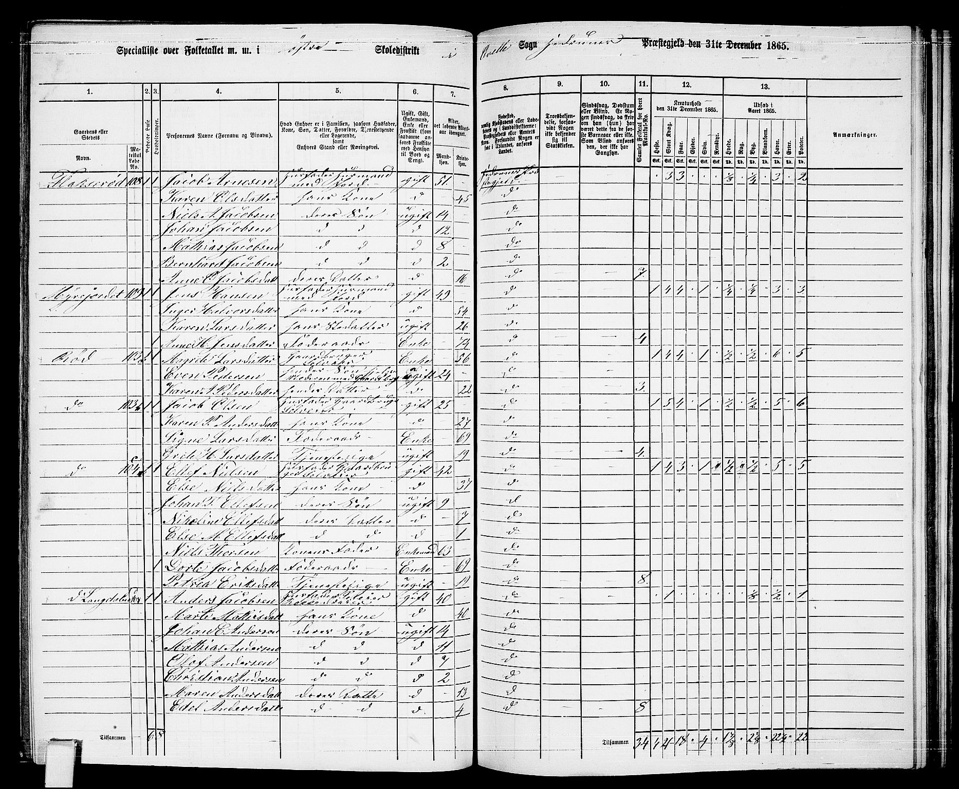 RA, 1865 census for Hedrum, 1865, p. 133