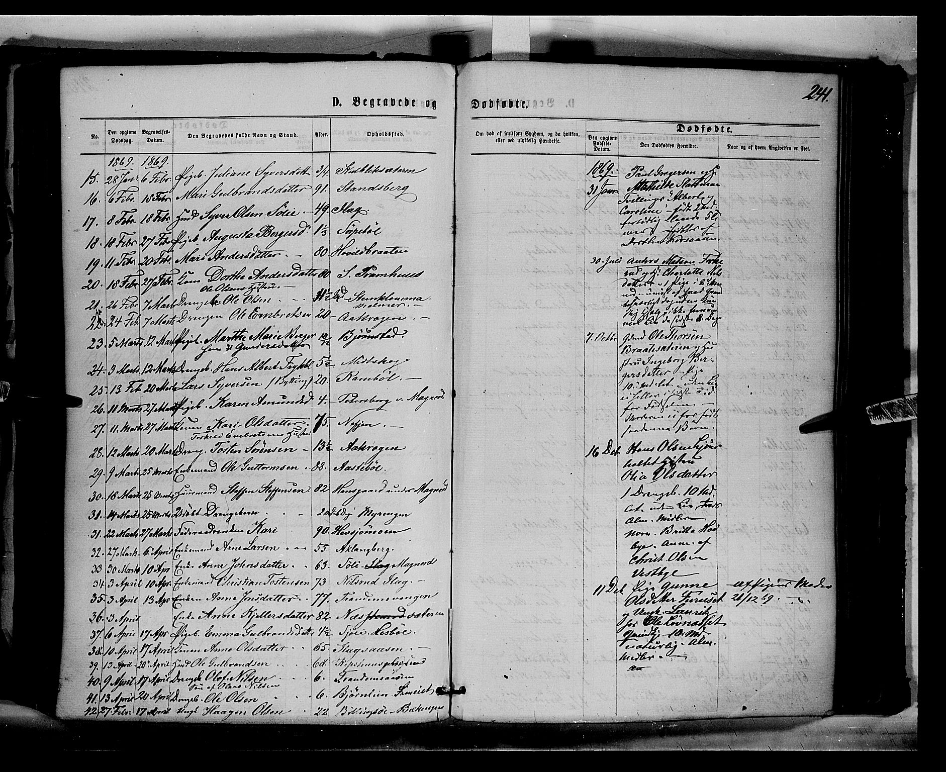 Eidskog prestekontor, AV/SAH-PREST-026/H/Ha/Haa/L0002: Parish register (official) no. 2, 1867-1878, p. 241