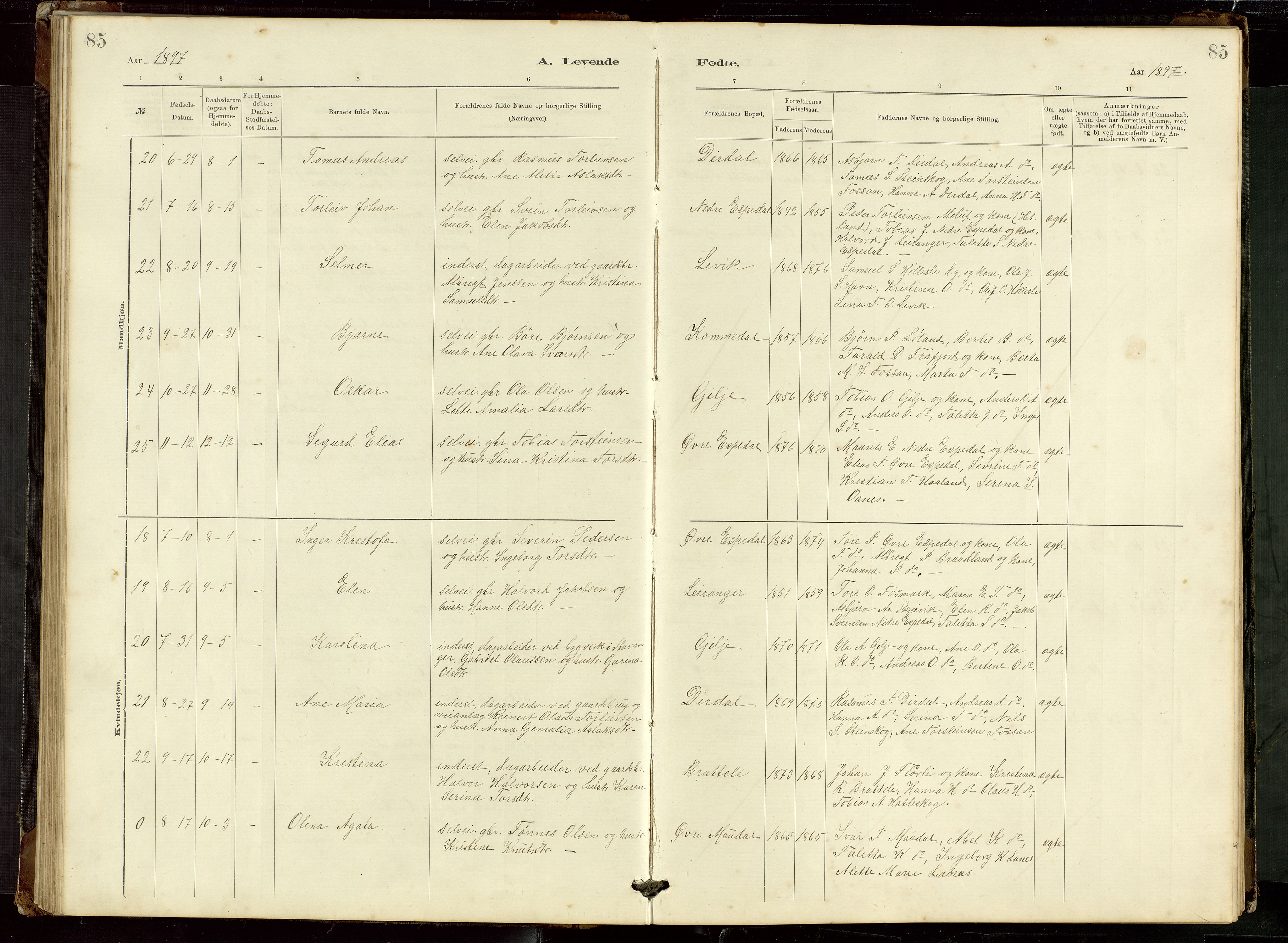 Høgsfjord sokneprestkontor, SAST/A-101624/H/Ha/Hab/L0009: Parish register (copy) no. B 9, 1883-1920, p. 85