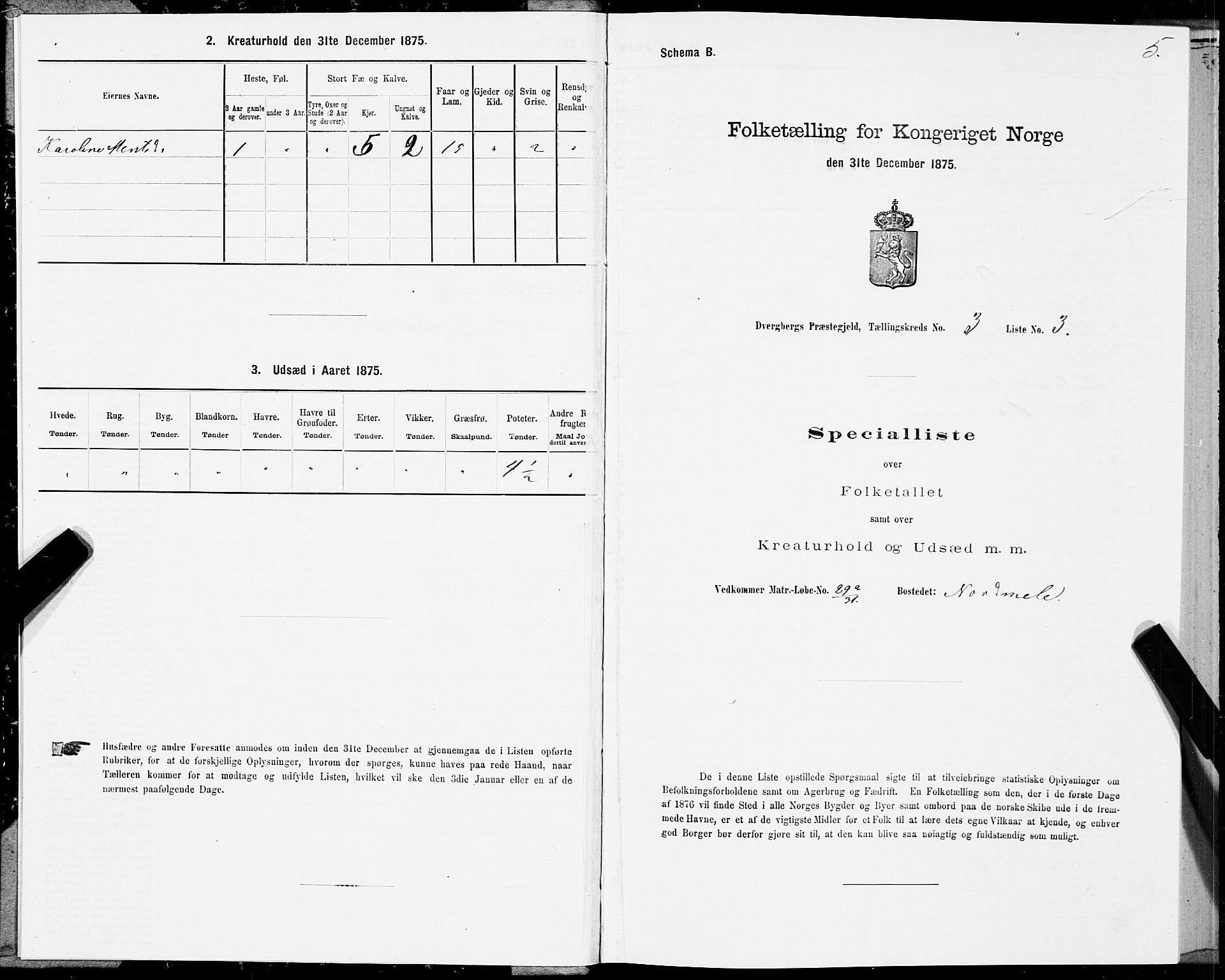 SAT, 1875 census for 1872P Dverberg, 1875, p. 2005