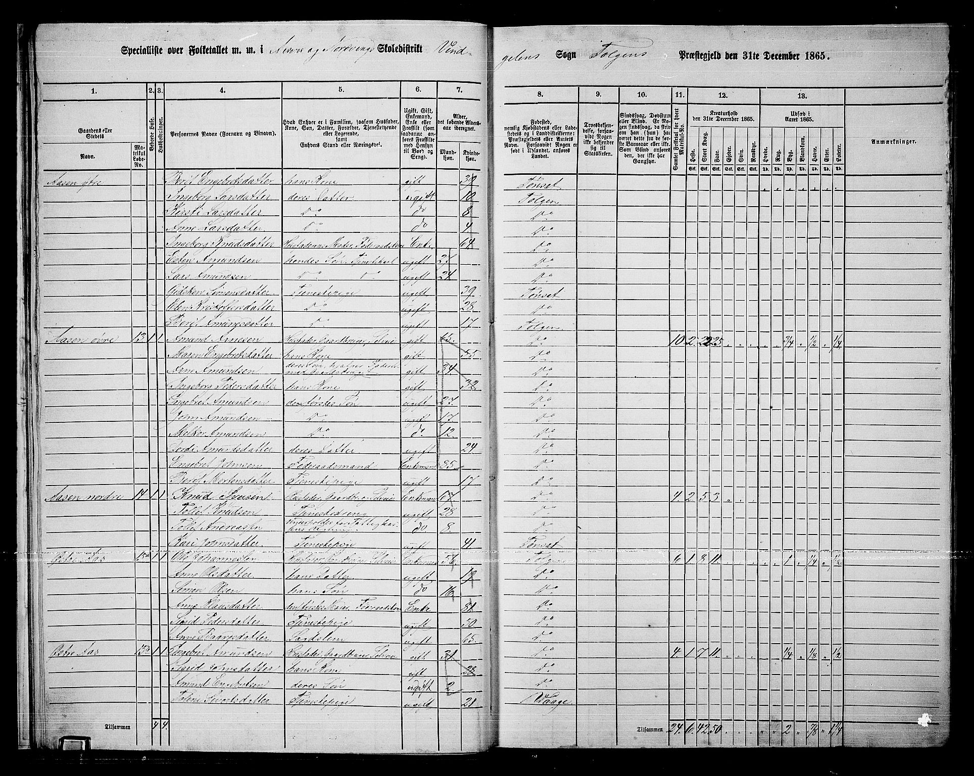 RA, 1865 census for Tolga, 1865, p. 19