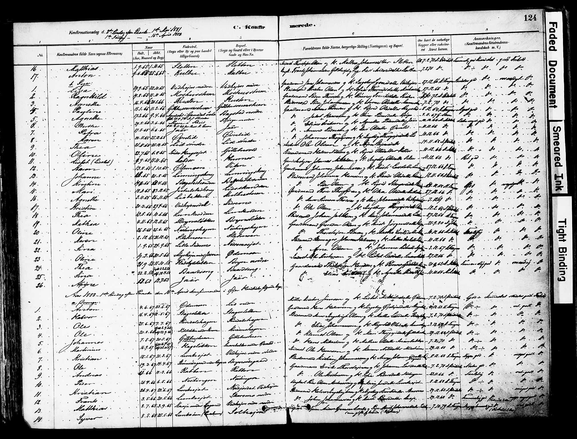 Øyer prestekontor, SAH/PREST-084/H/Ha/Haa/L0008: Parish register (official) no. 8, 1878-1897, p. 124