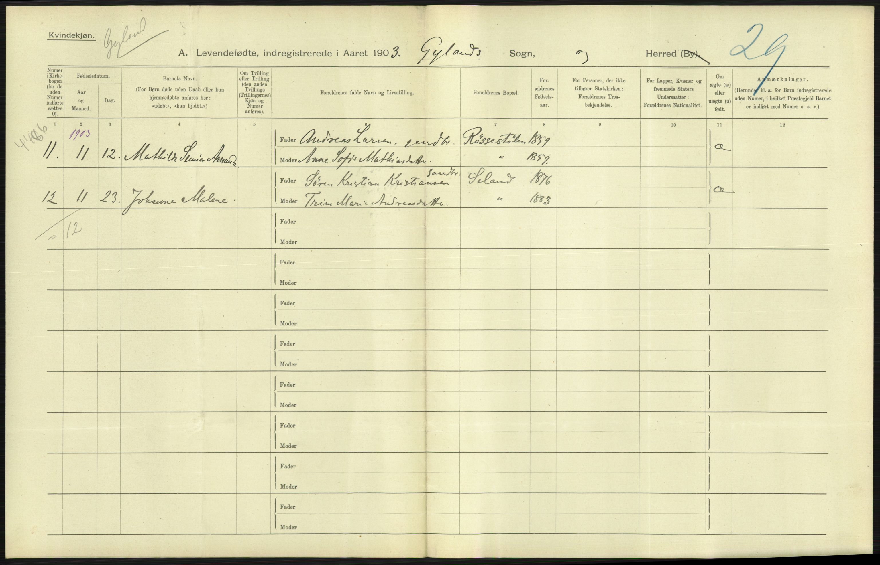 Statistisk sentralbyrå, Sosiodemografiske emner, Befolkning, AV/RA-S-2228/D/Df/Dfa/Dfaa/L0011: Lister og Mandal amt: Fødte, gifte, døde, 1903, p. 13