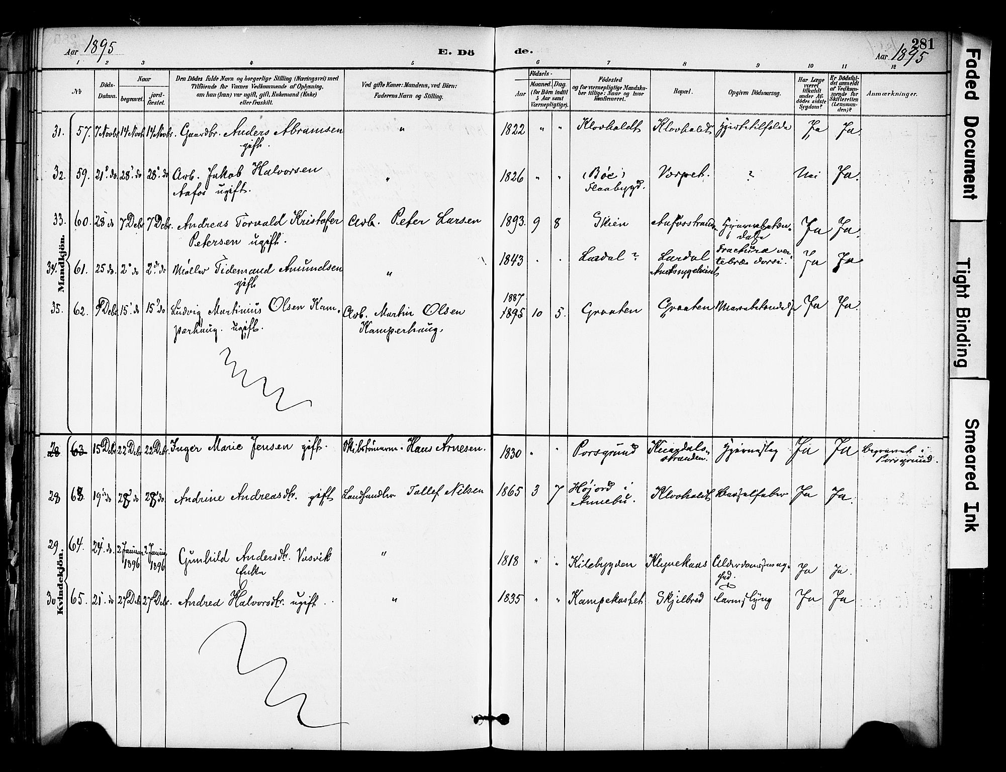 Solum kirkebøker, SAKO/A-306/F/Fa/L0010: Parish register (official) no. I 10, 1888-1898, p. 281