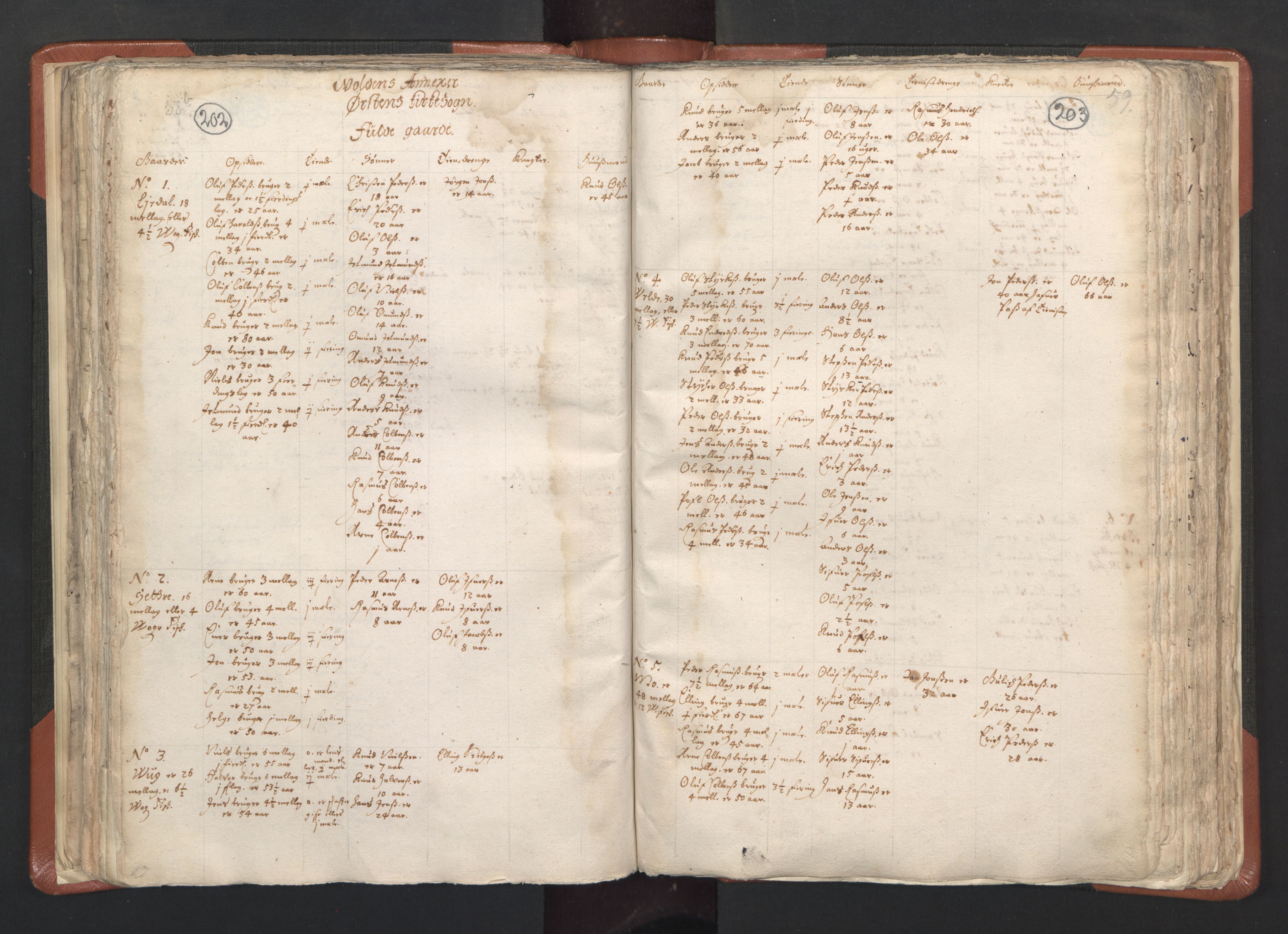 RA, Vicar's Census 1664-1666, no. 26: Sunnmøre deanery, 1664-1666, p. 202-203